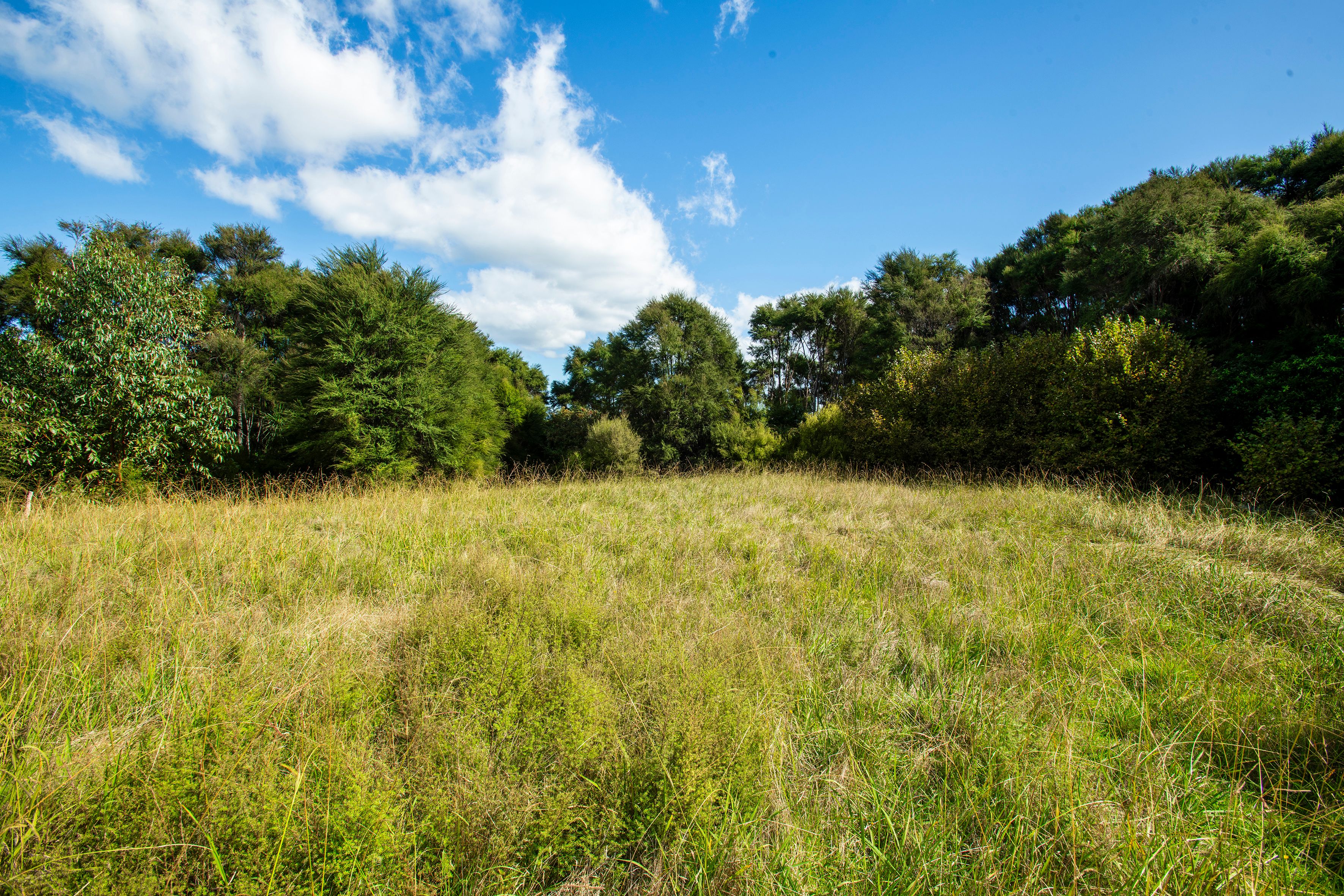 326A Matokitoki Valley Road, Matokitoki, Gisborne District