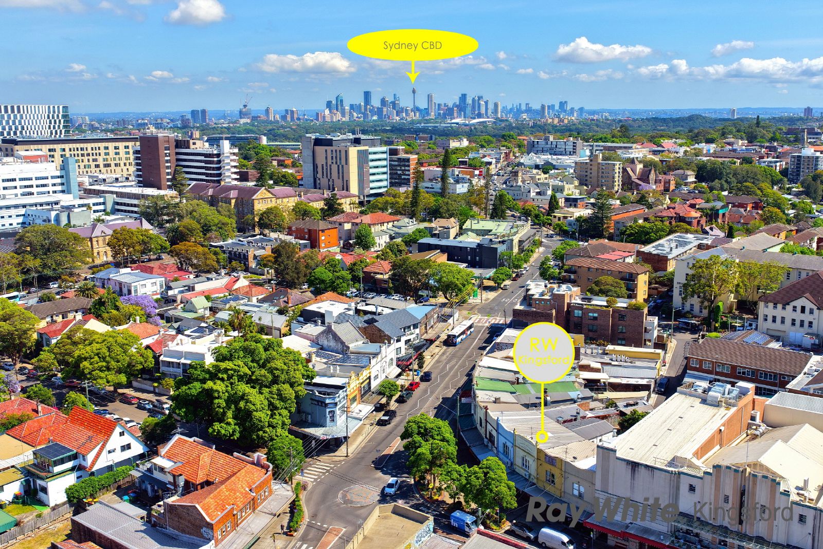 33 St Pauls Street, Randwick, NSW 2031