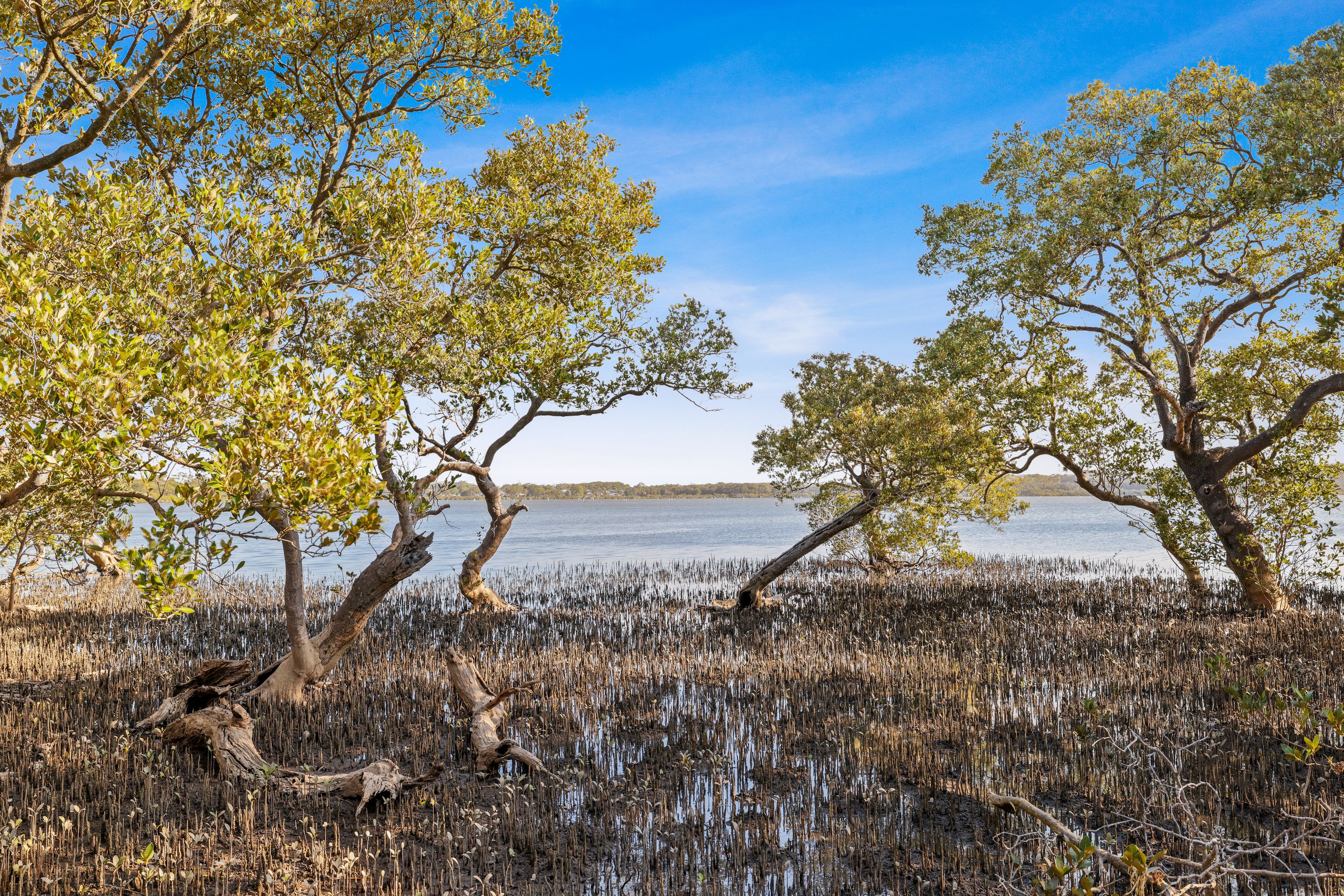 20 Orient Point Road, Culburra Beach, NSW