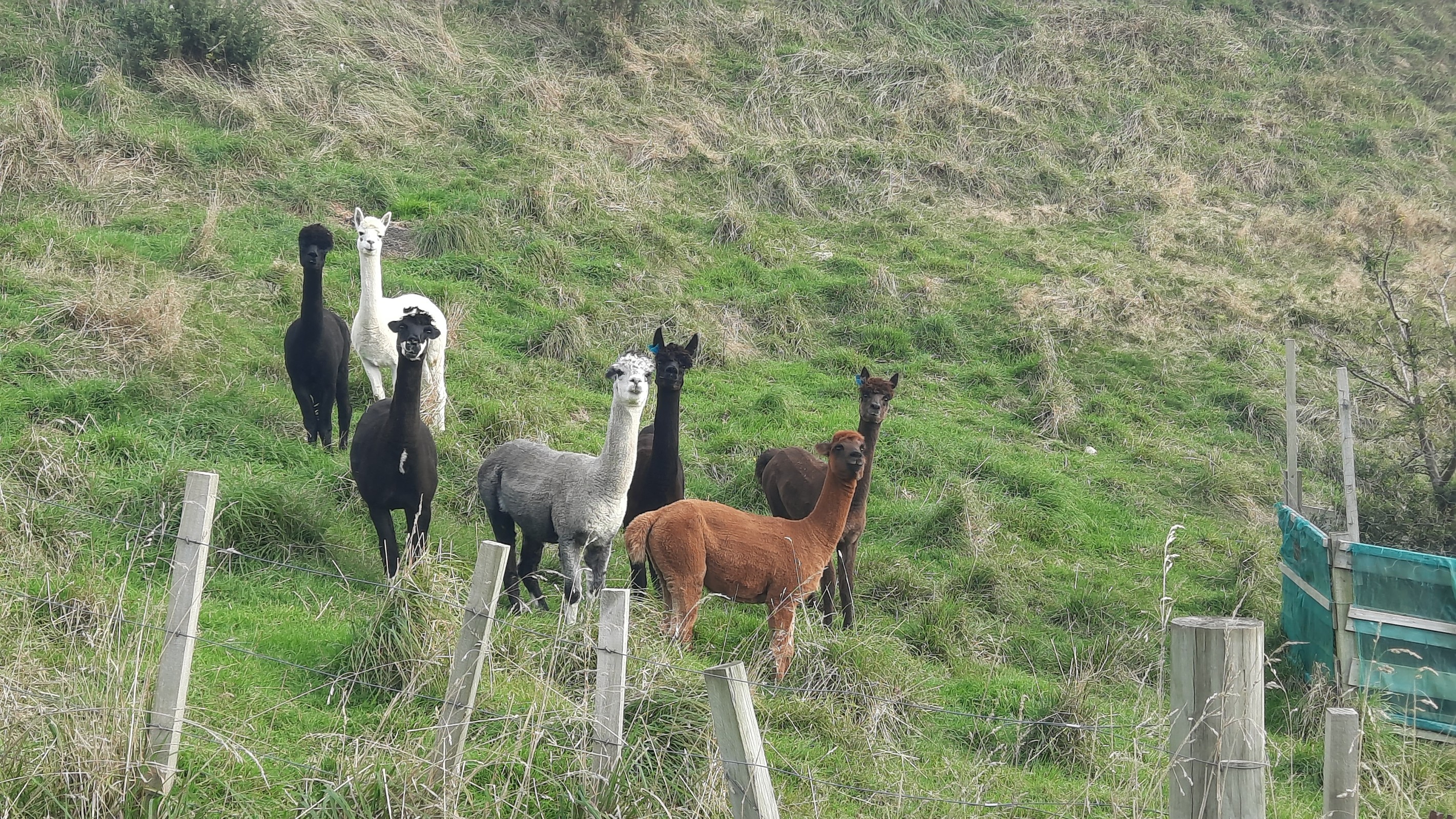 638 Saddle Road, Ashhurst, Palmerston North City