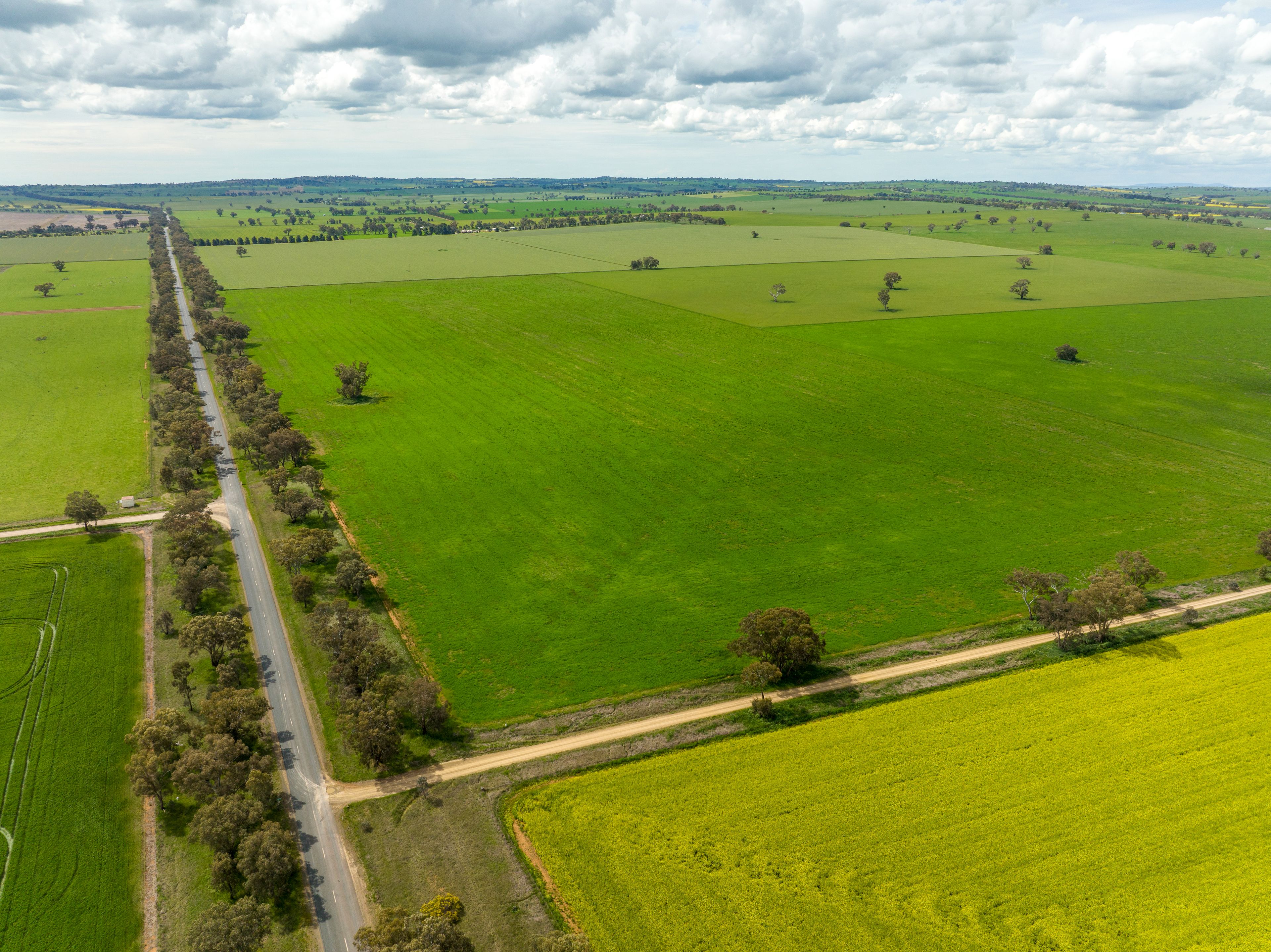 417 Donohoes Lane, Downside, via, Wagga Wagga, NSW 2650