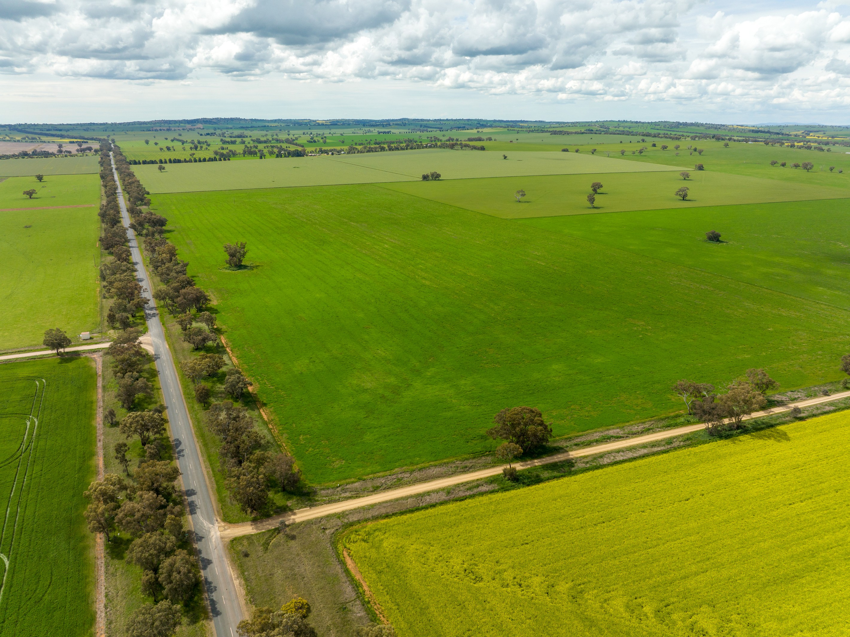 417 Donohoes Lane, Downside, via, Wagga Wagga, NSW 2650