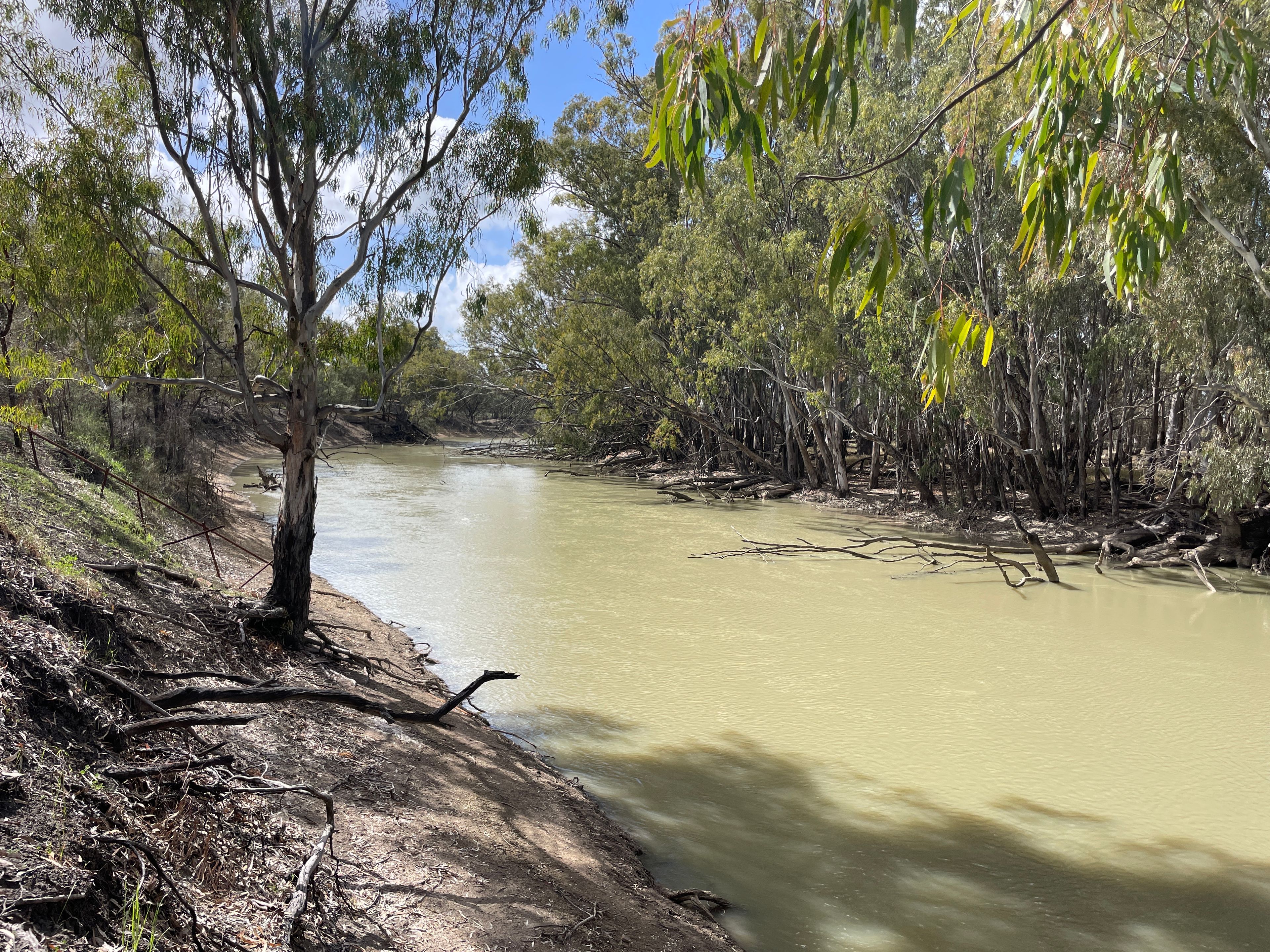 'Fishers' 174 Balranald Road, Moulamein, NSW 2733
