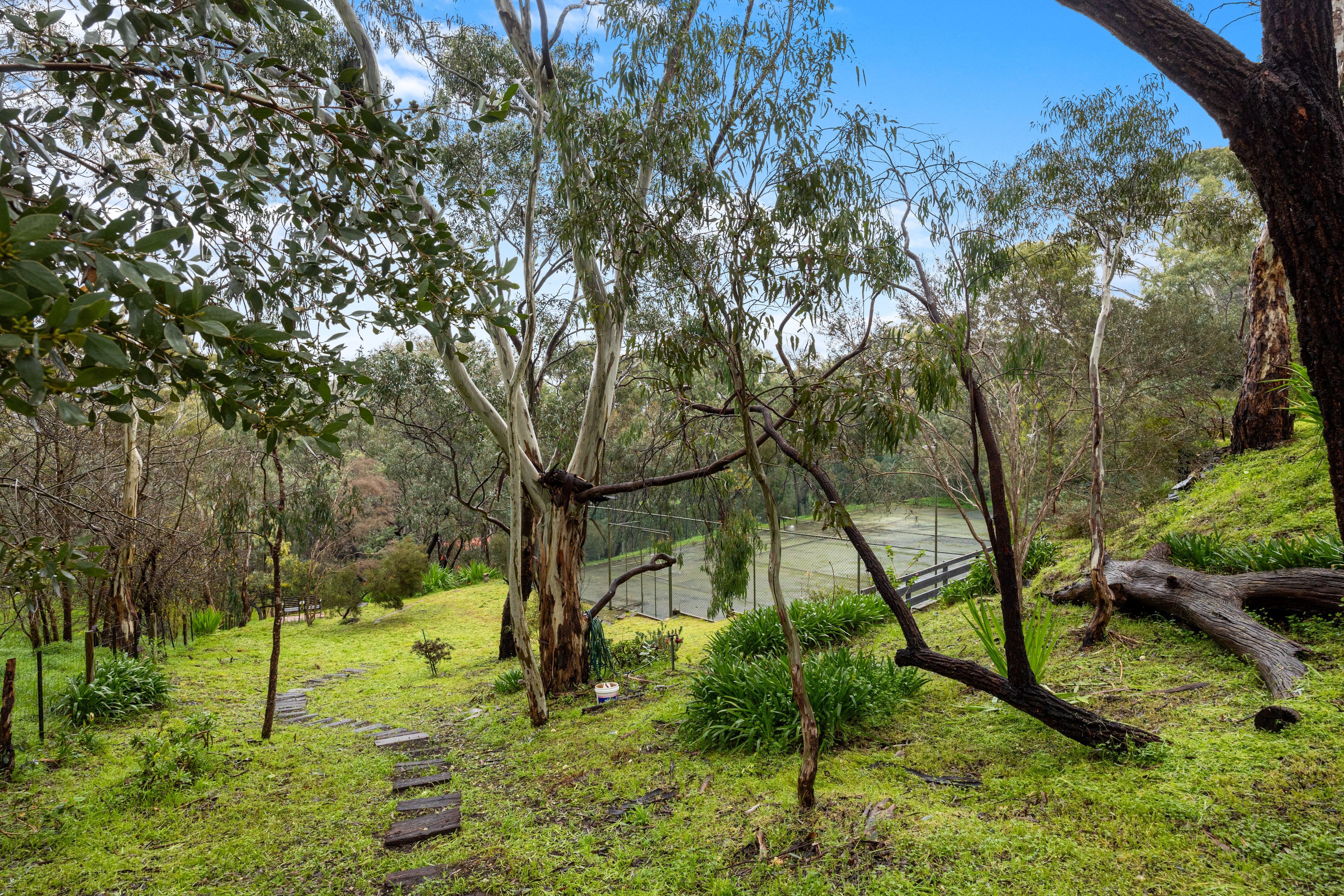 3 Hakea Court — photo 21 of 29