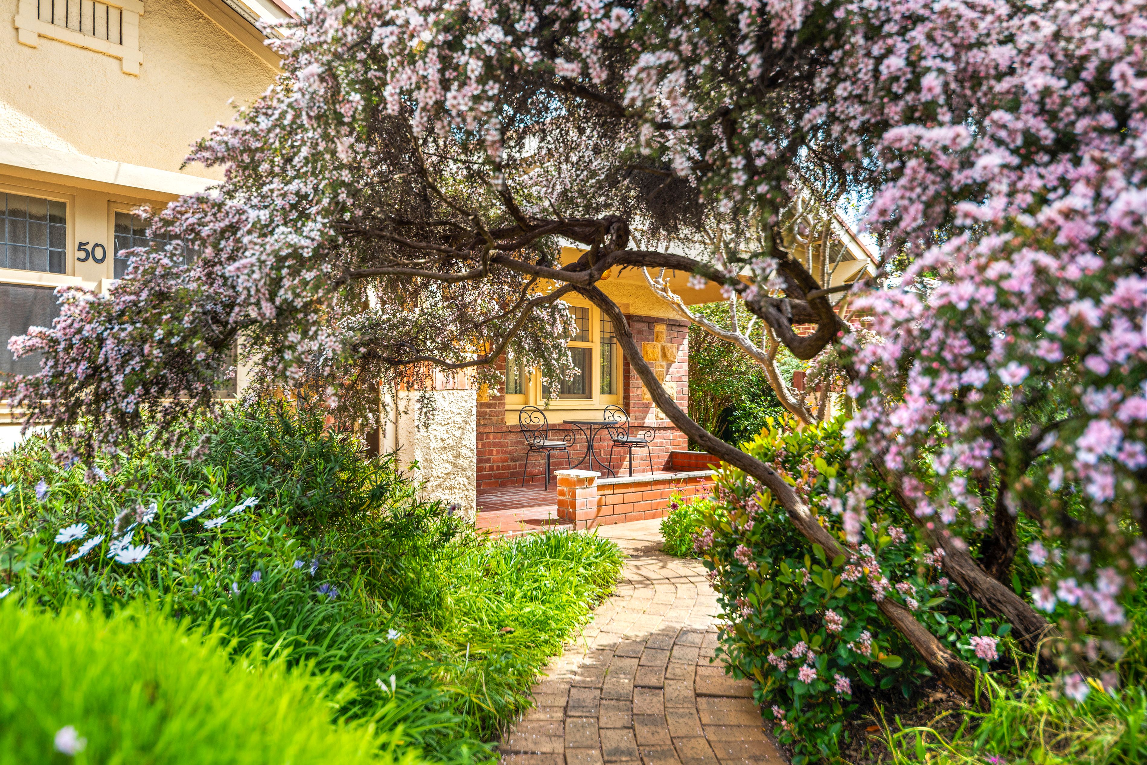 50 Regent Street, Kensington, SA 5068