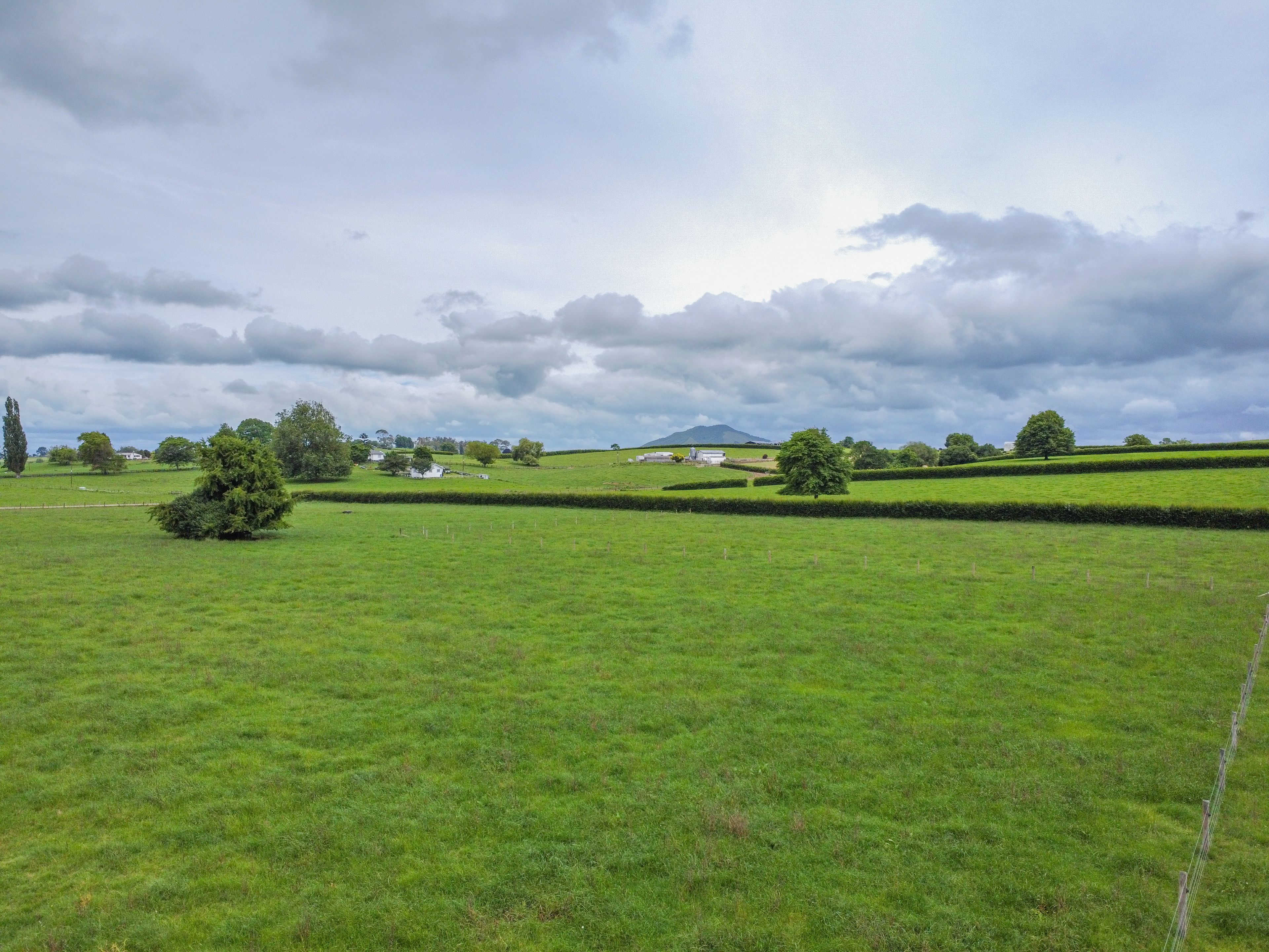 319 Pirongia Road, Te Awamutu, Waipa District