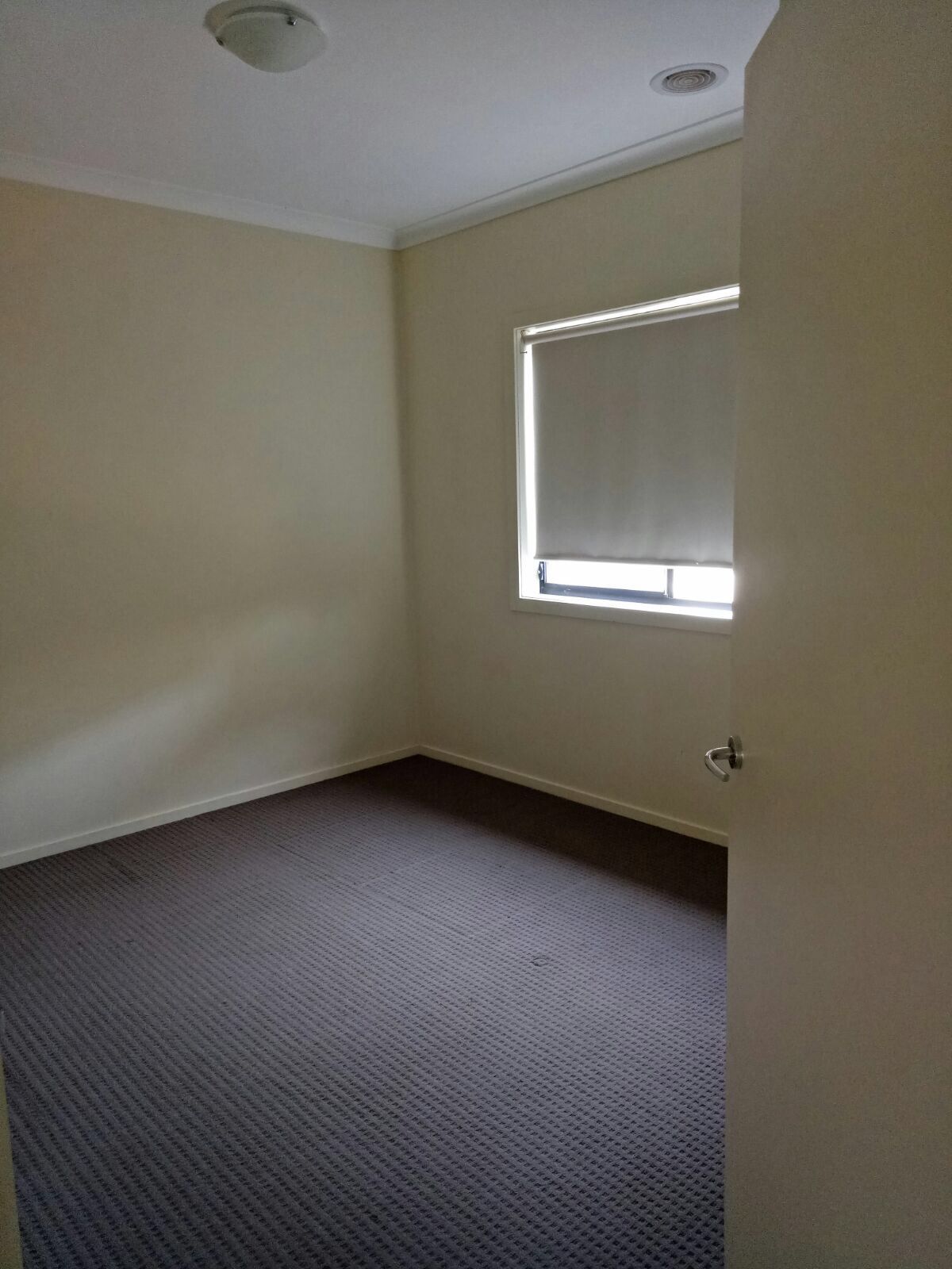 14 Tilwinda Place, Truganina, VIC 3029