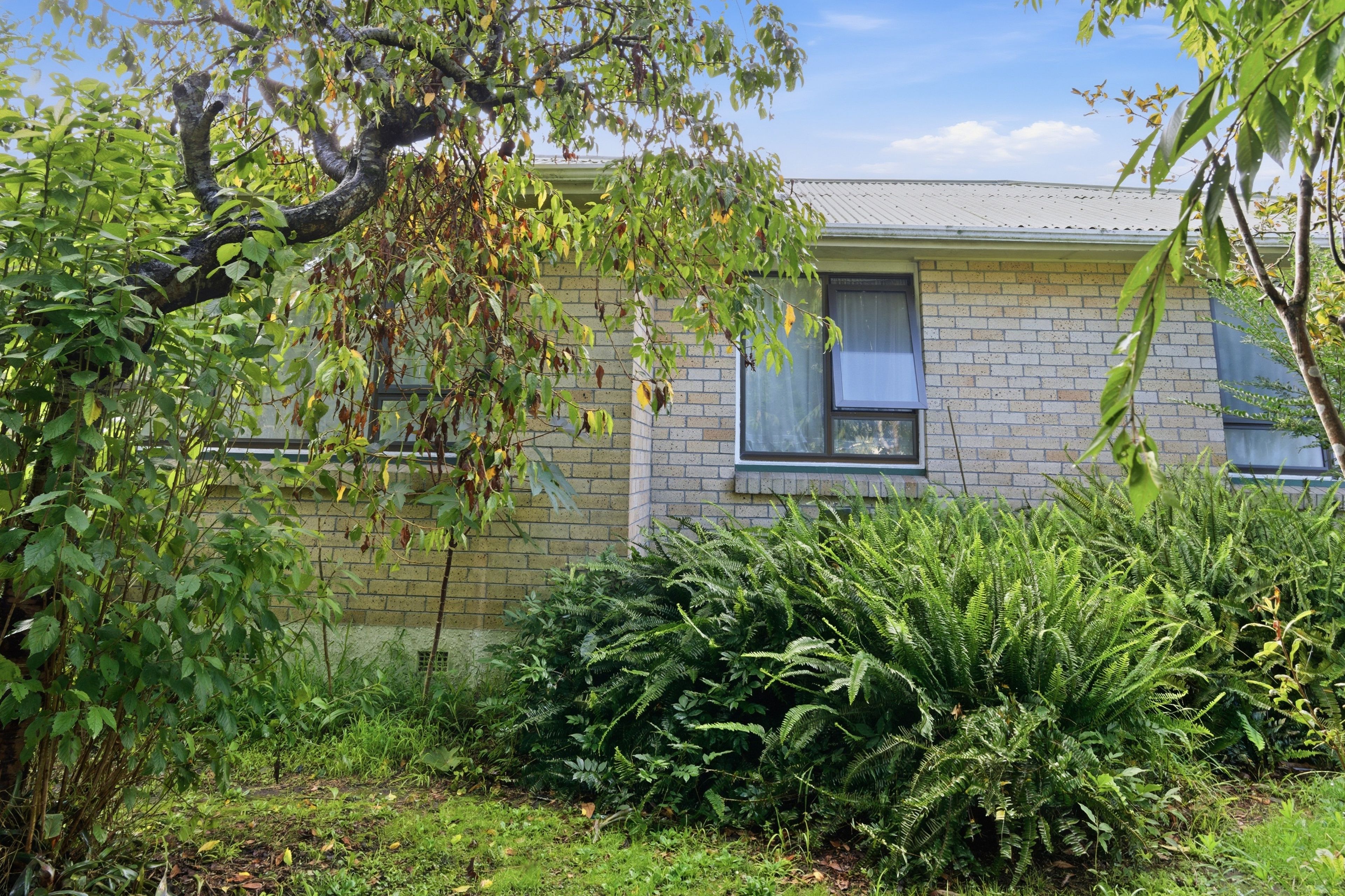 13 Malyon Street, Te Puke, Western Bay Of Plenty District