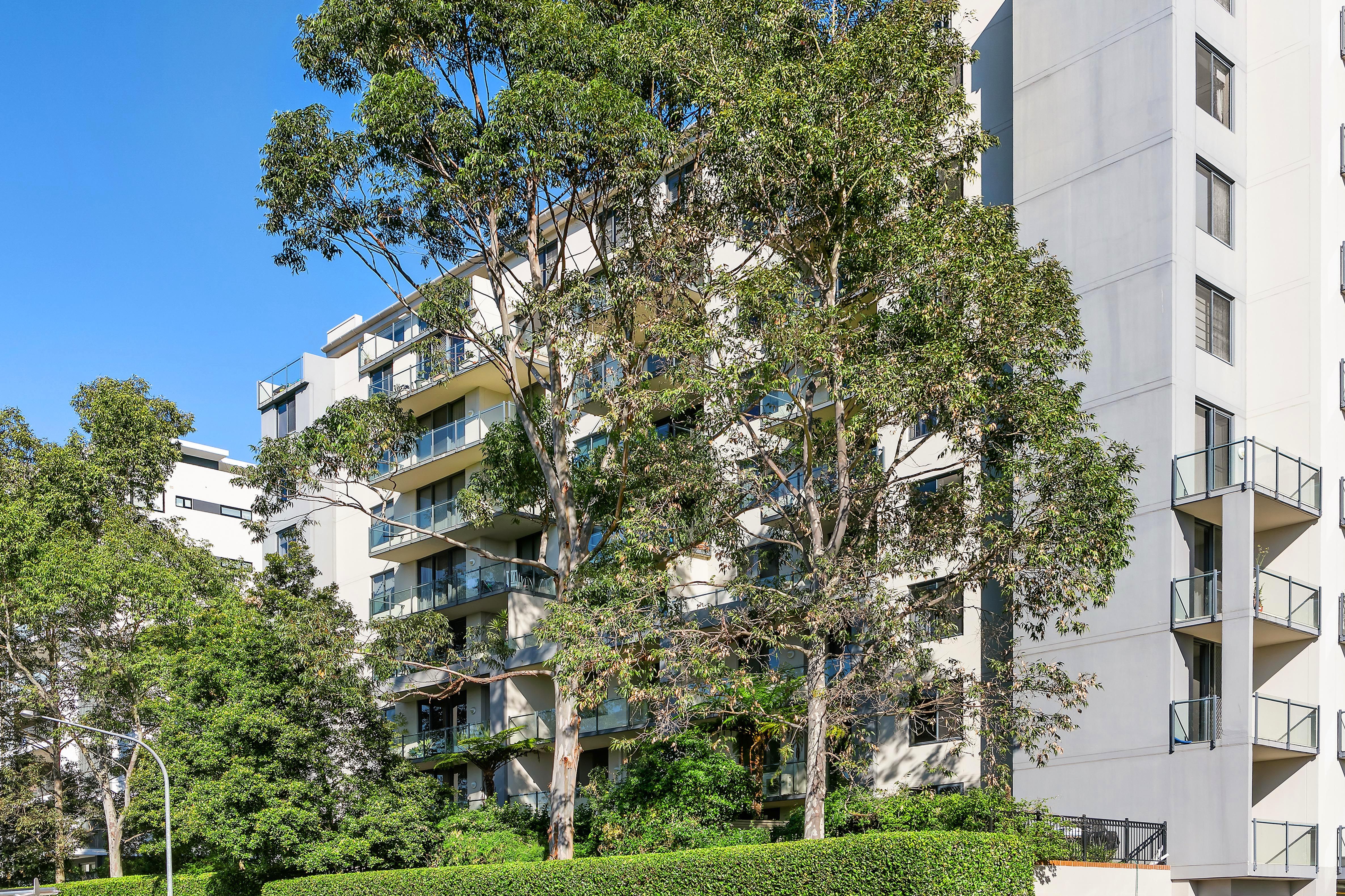 305/11-19 Waitara Avenue, Waitara, NSW 2077