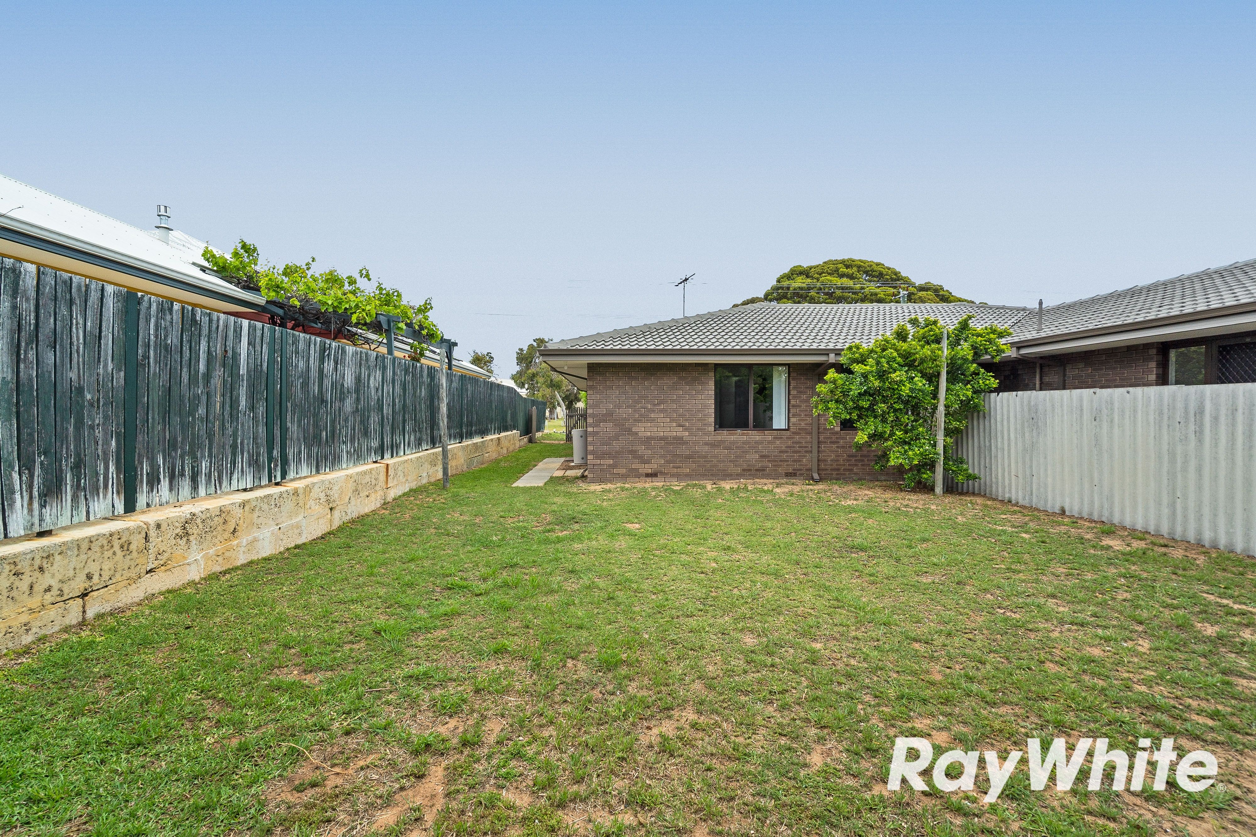 8A Cathryn Street — photo 12 of 23