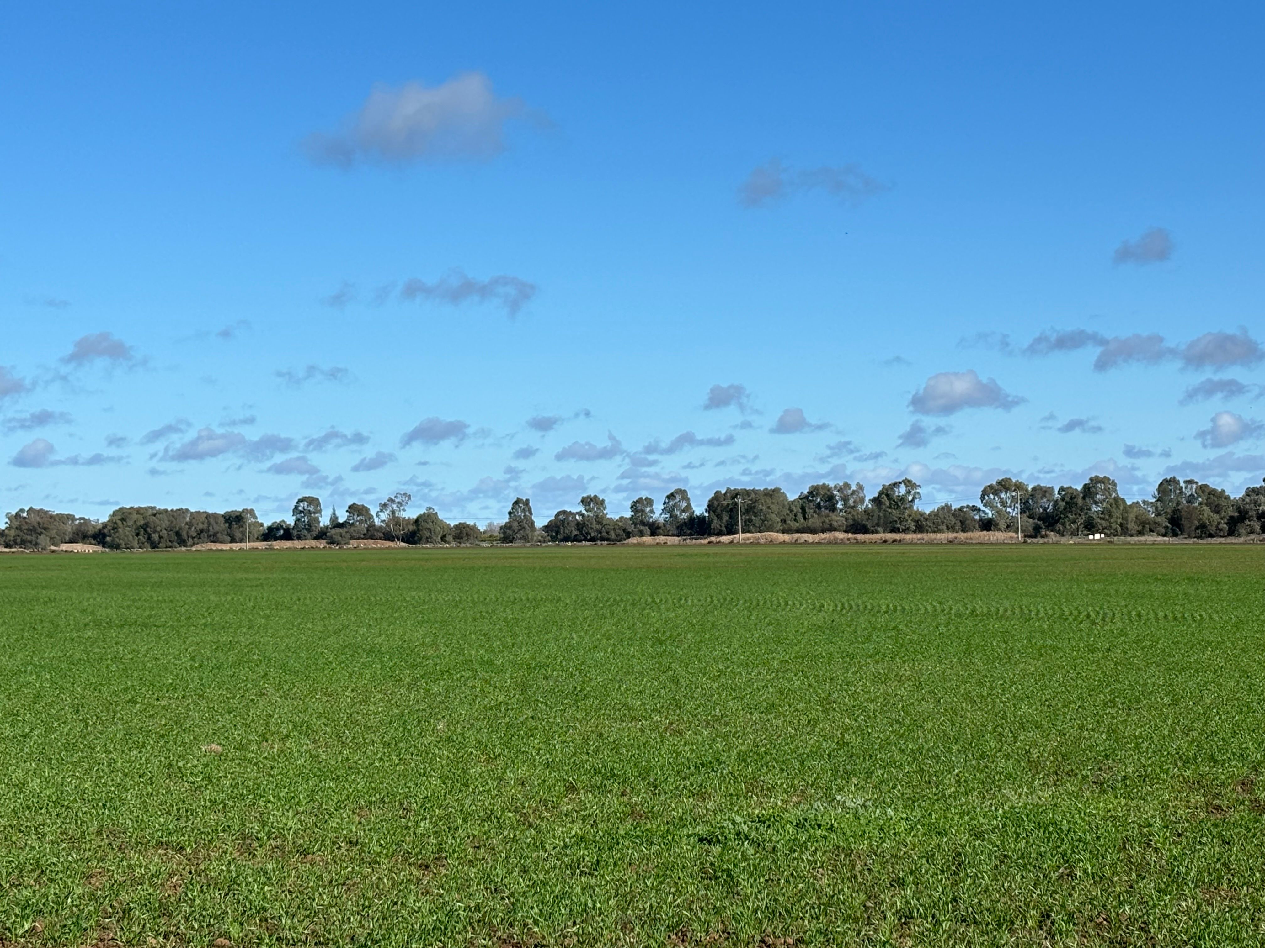 ( Davit Farm ) Cashmere Road — photo 7 of 17
