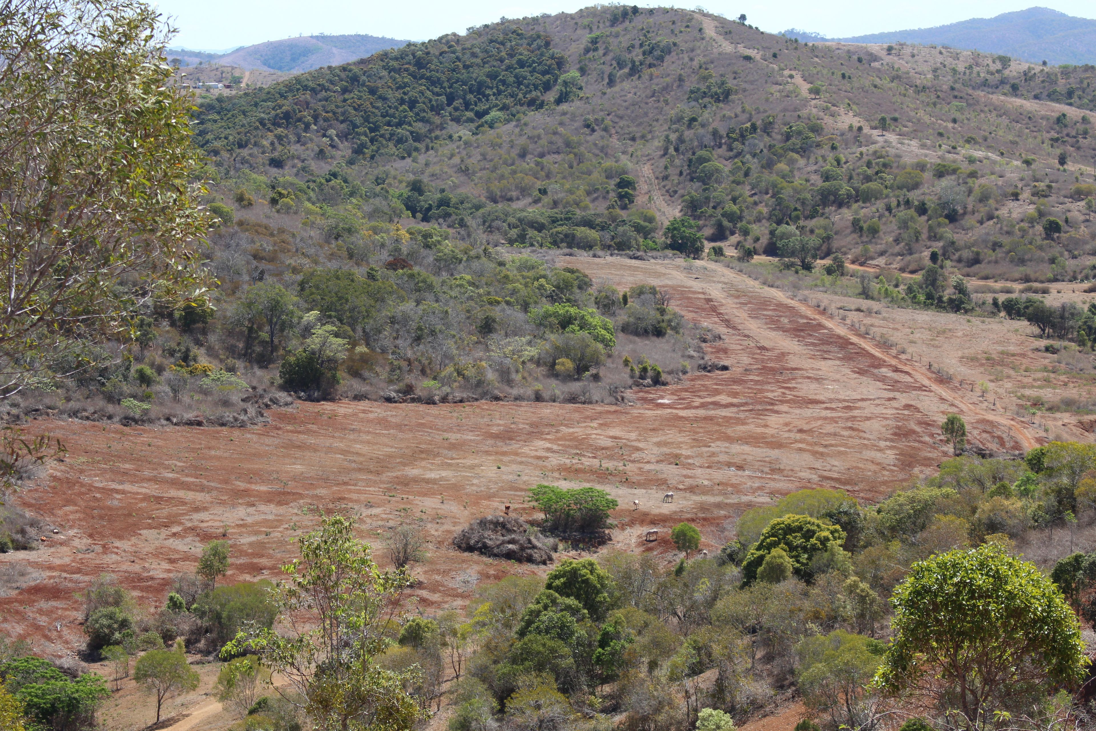 Lot 6 Aplin Road, Bracewell, QLD 4695