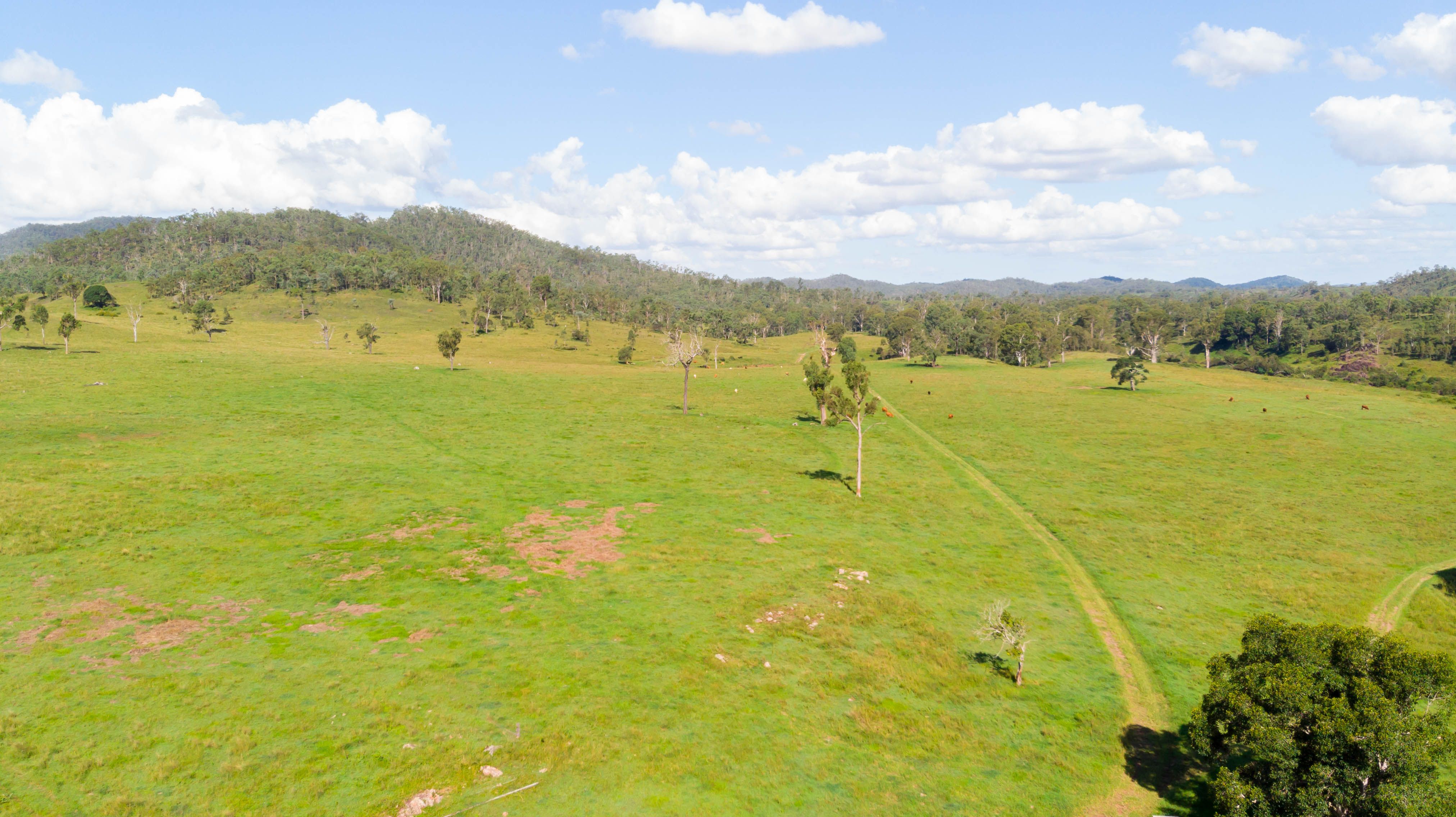 Lot 1 Banks Creek England Road, Banks Creek, QLD 4306