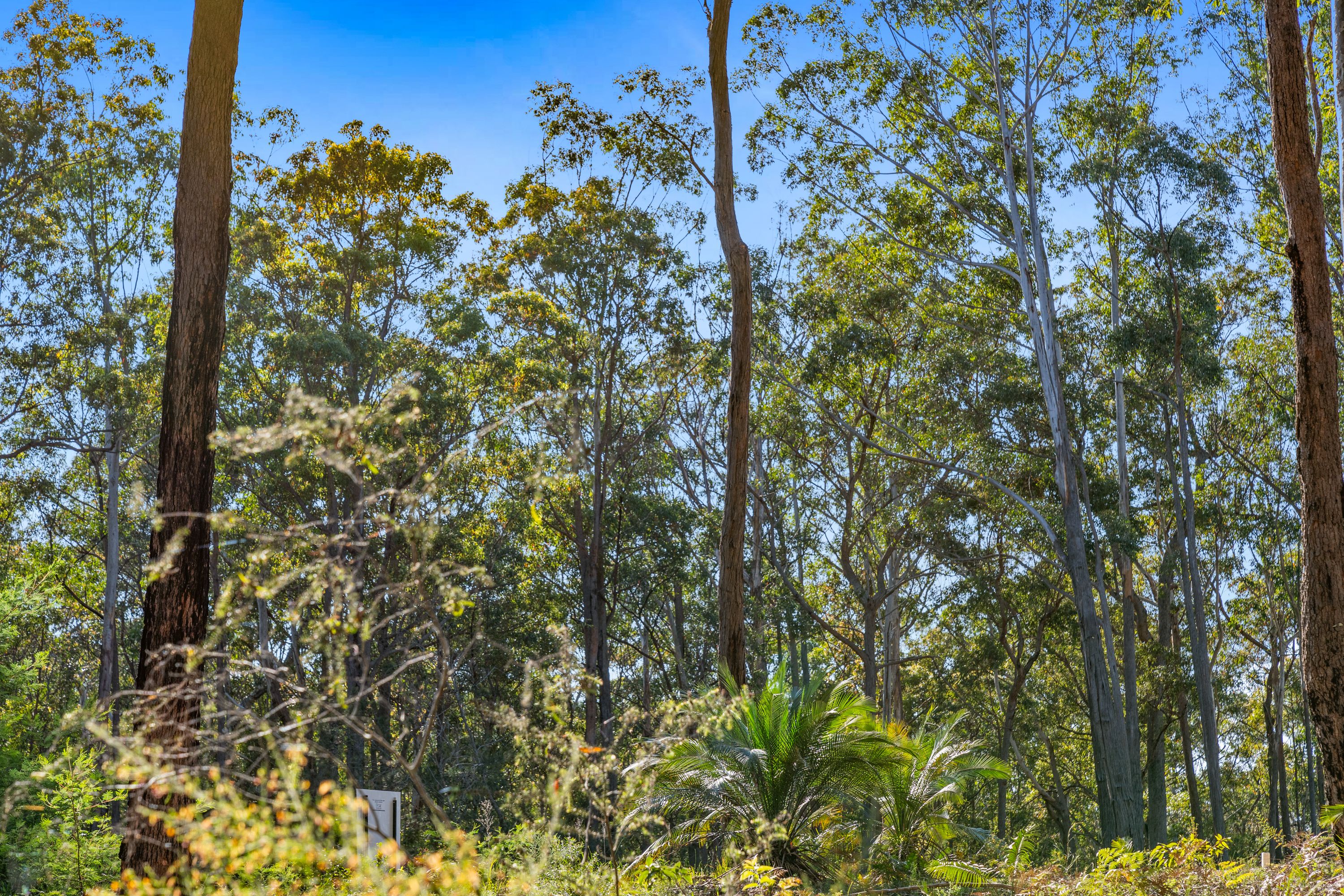 Lot 30 Clyde View Drive — photo 13 of 14
