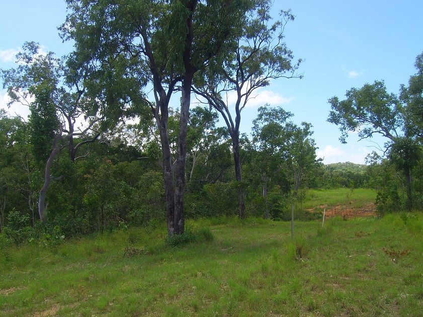 Lot 56 Solander Road, Cooktown QLD 4895