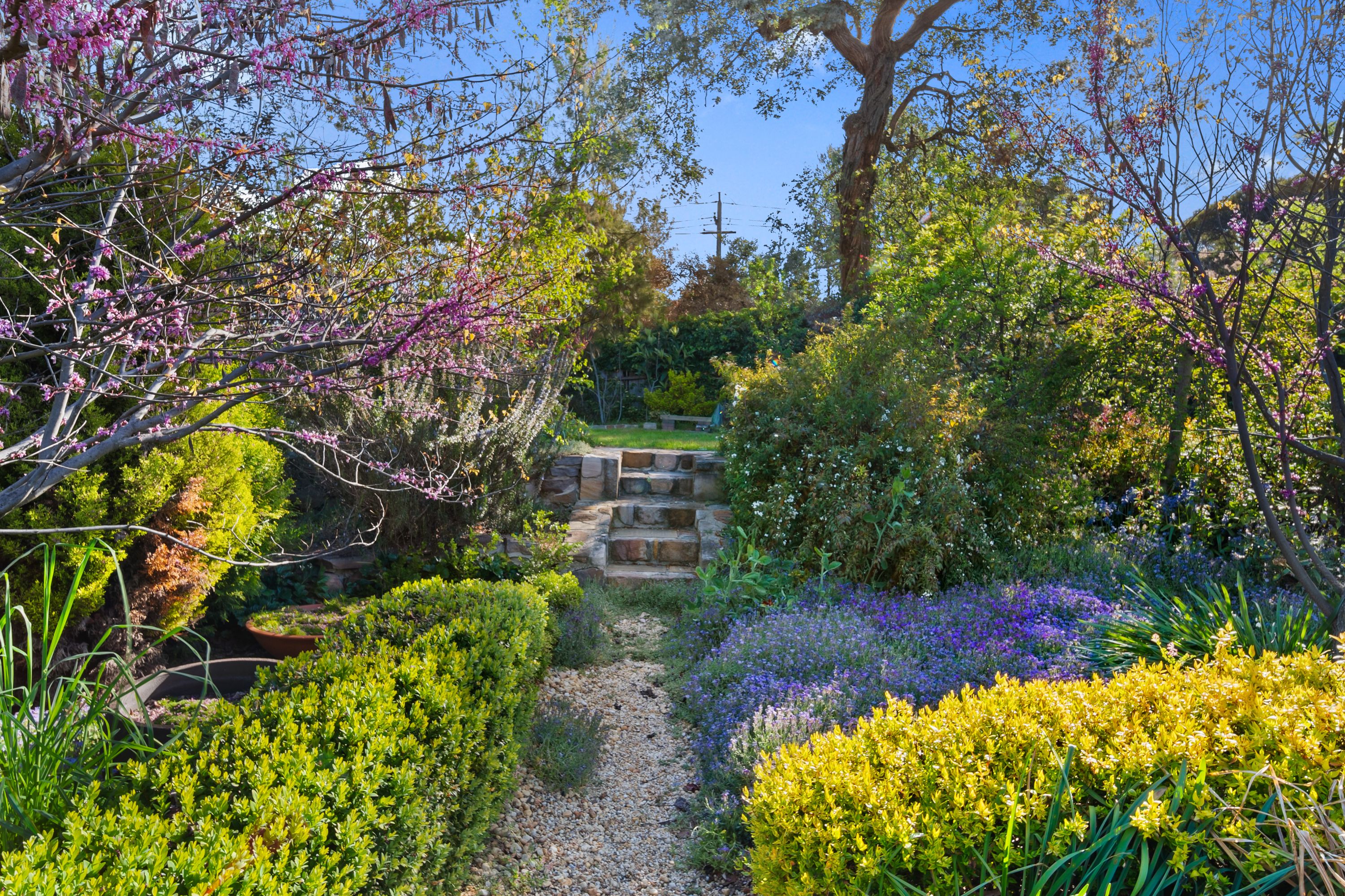 13 Clisby Close, Cook, ACT 2614