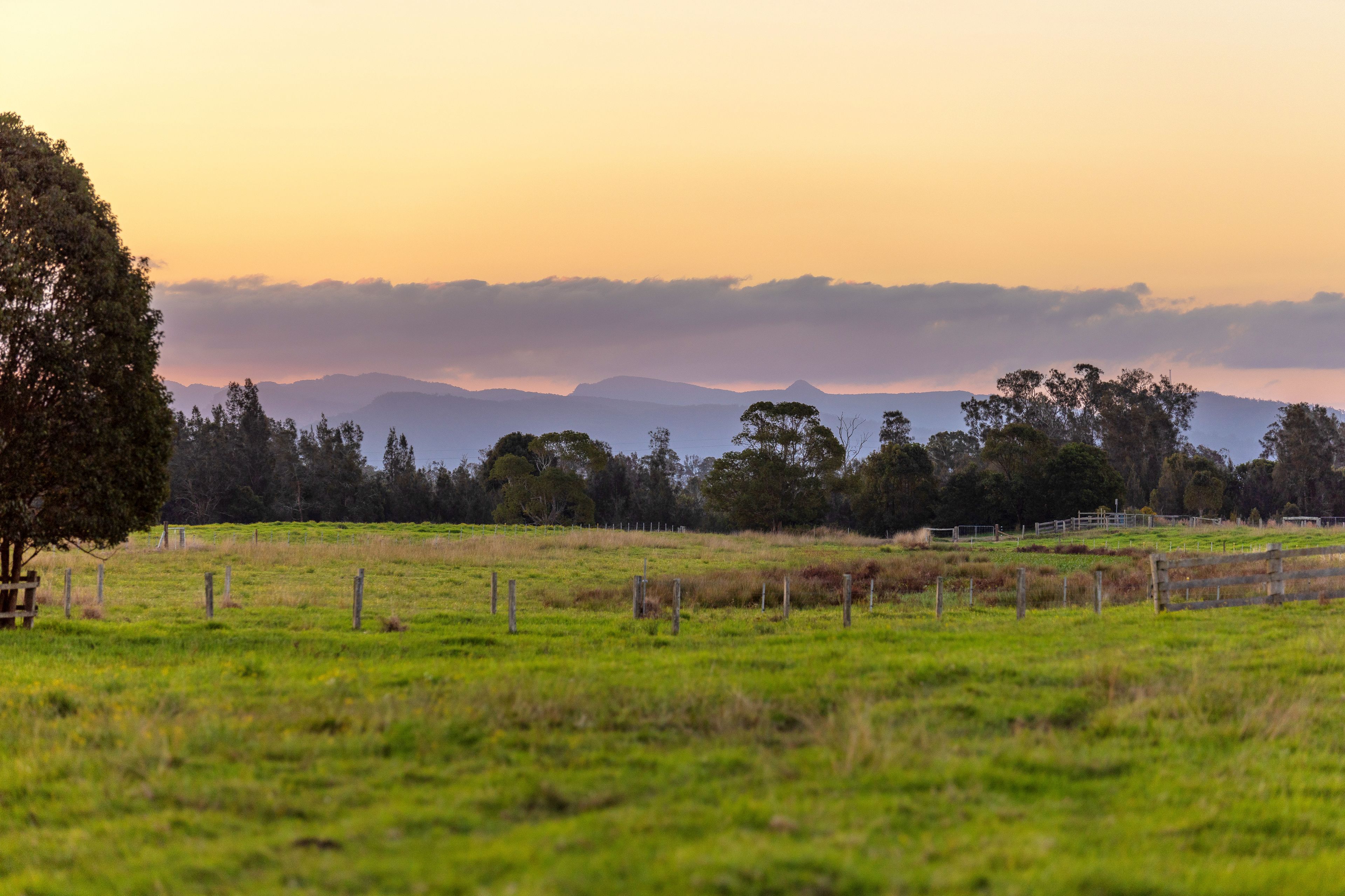 67 Pelican Bay Road, Mitchells Island, NSW 2430