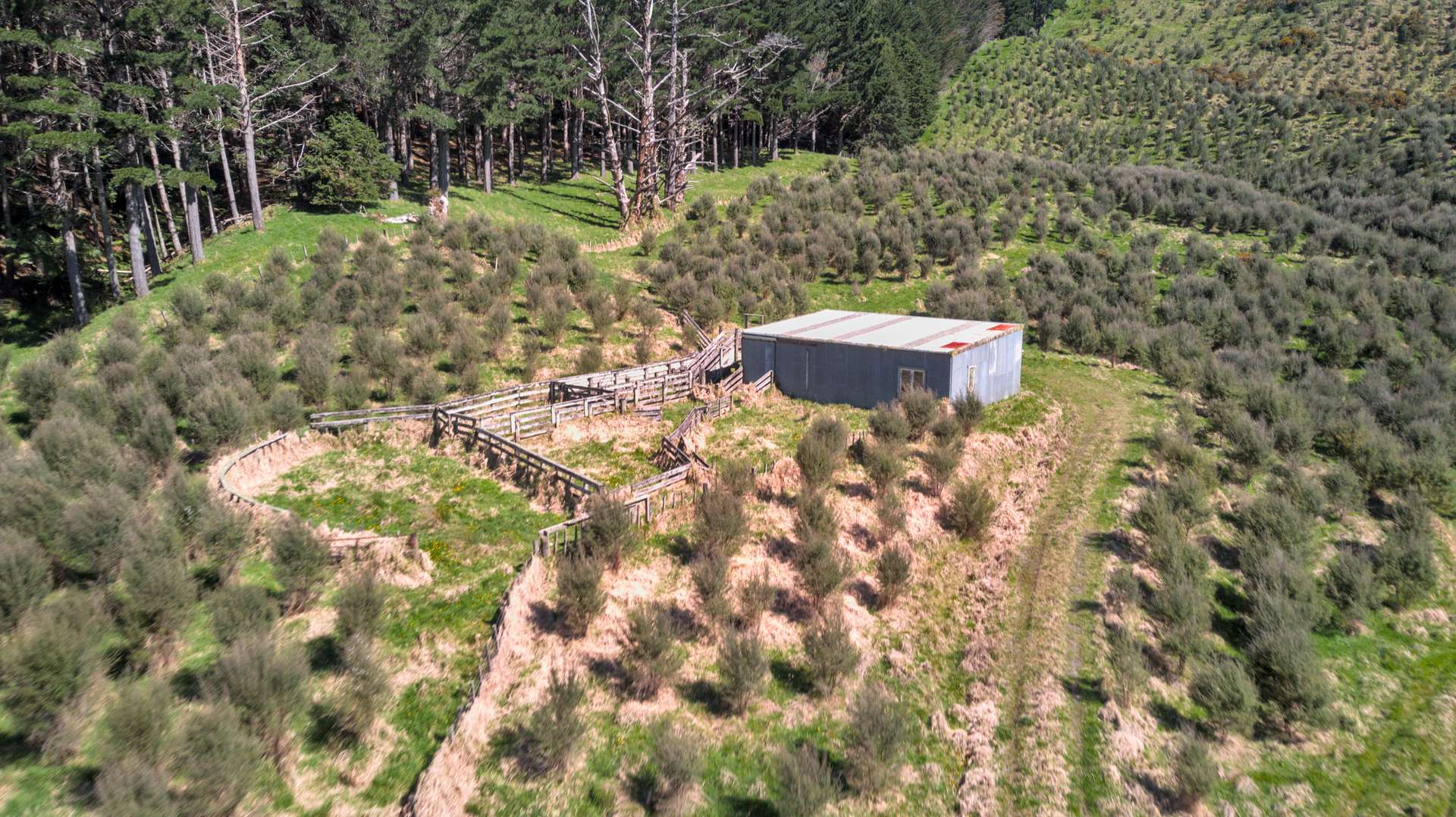 60 Whakapirau Road photo 6