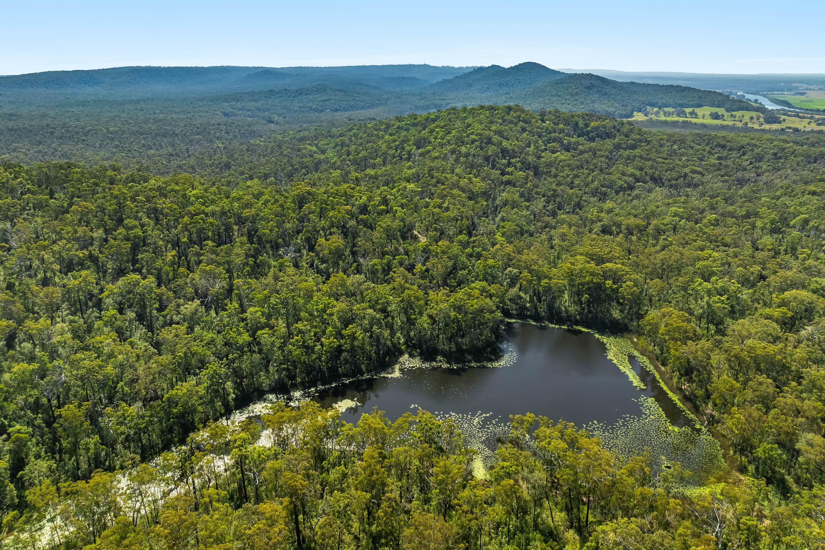 195 Old Murrayville Road, Ashby Heights, NSW 2463