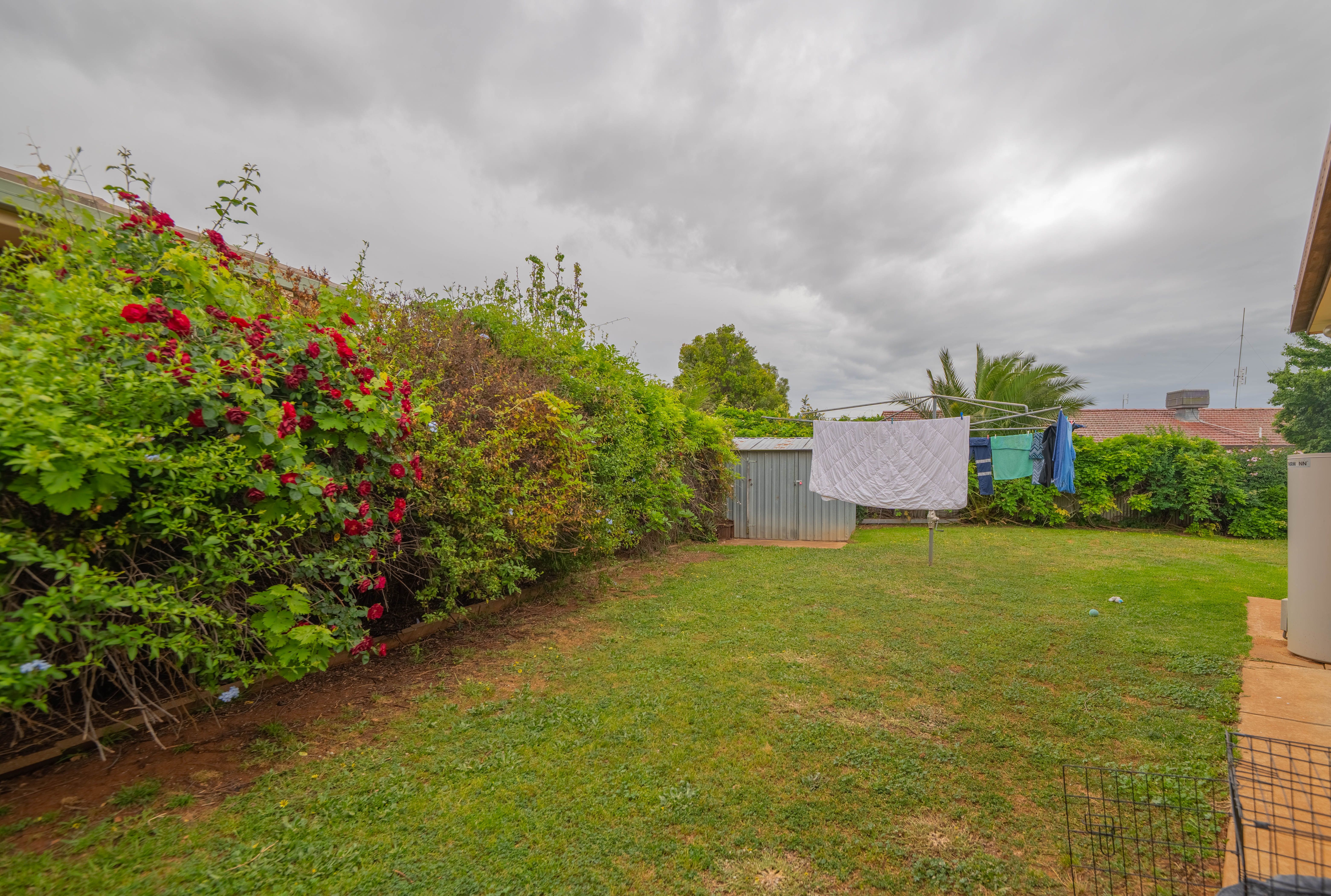 22 Brolgan Road — photo 11 of 11