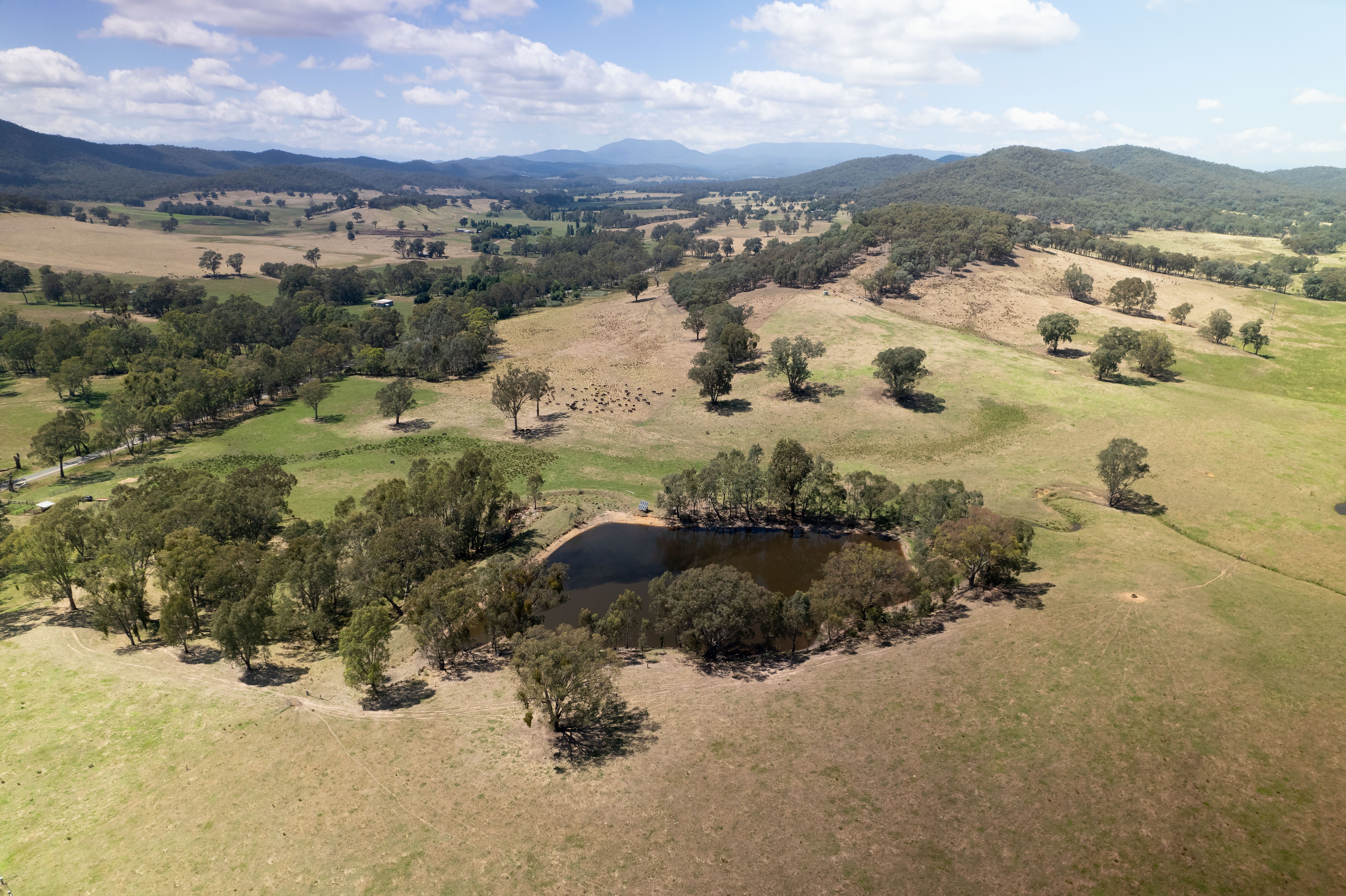 - Moyhu-Meadow Creek Road, Moyhu, VIC 3732