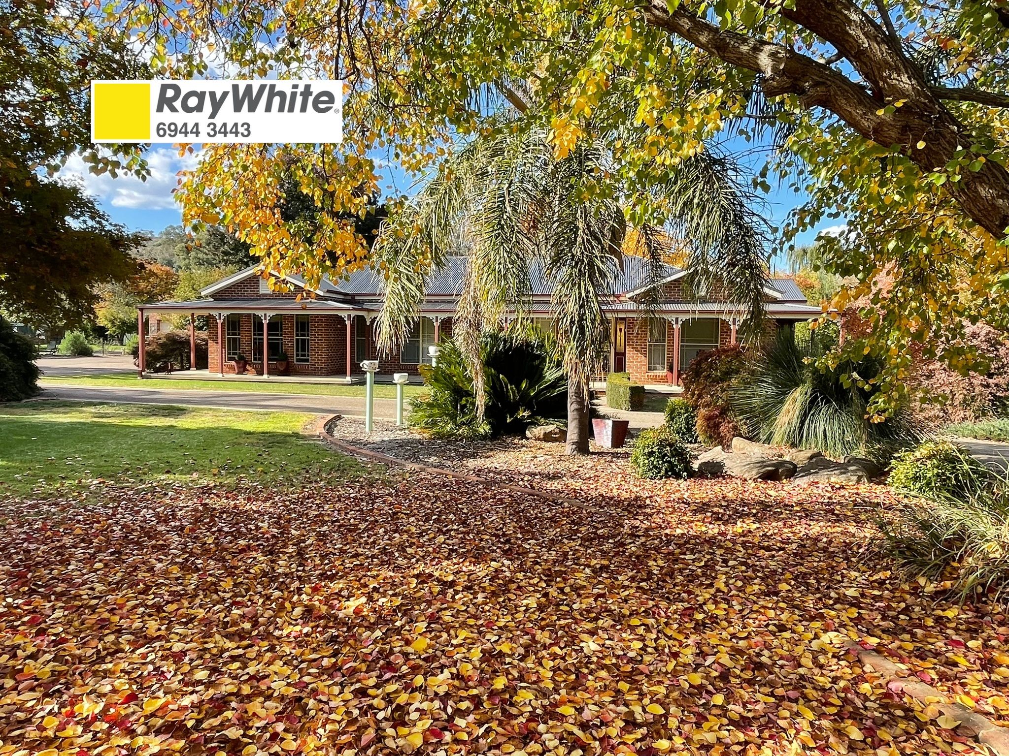 213 Punch Street — photo from Ray White Tumut