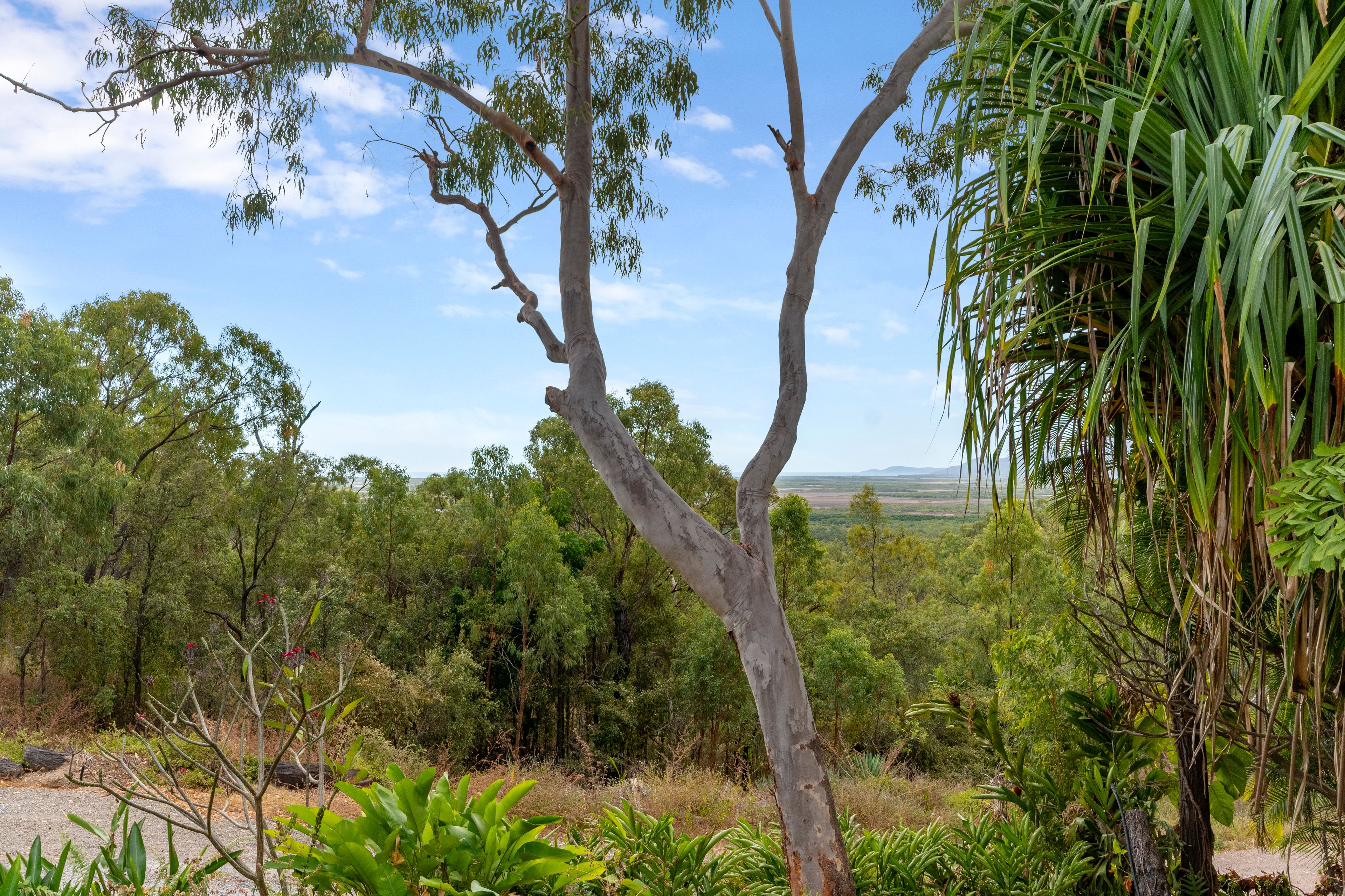 121 Wharton Road, Nome, QLD 4816