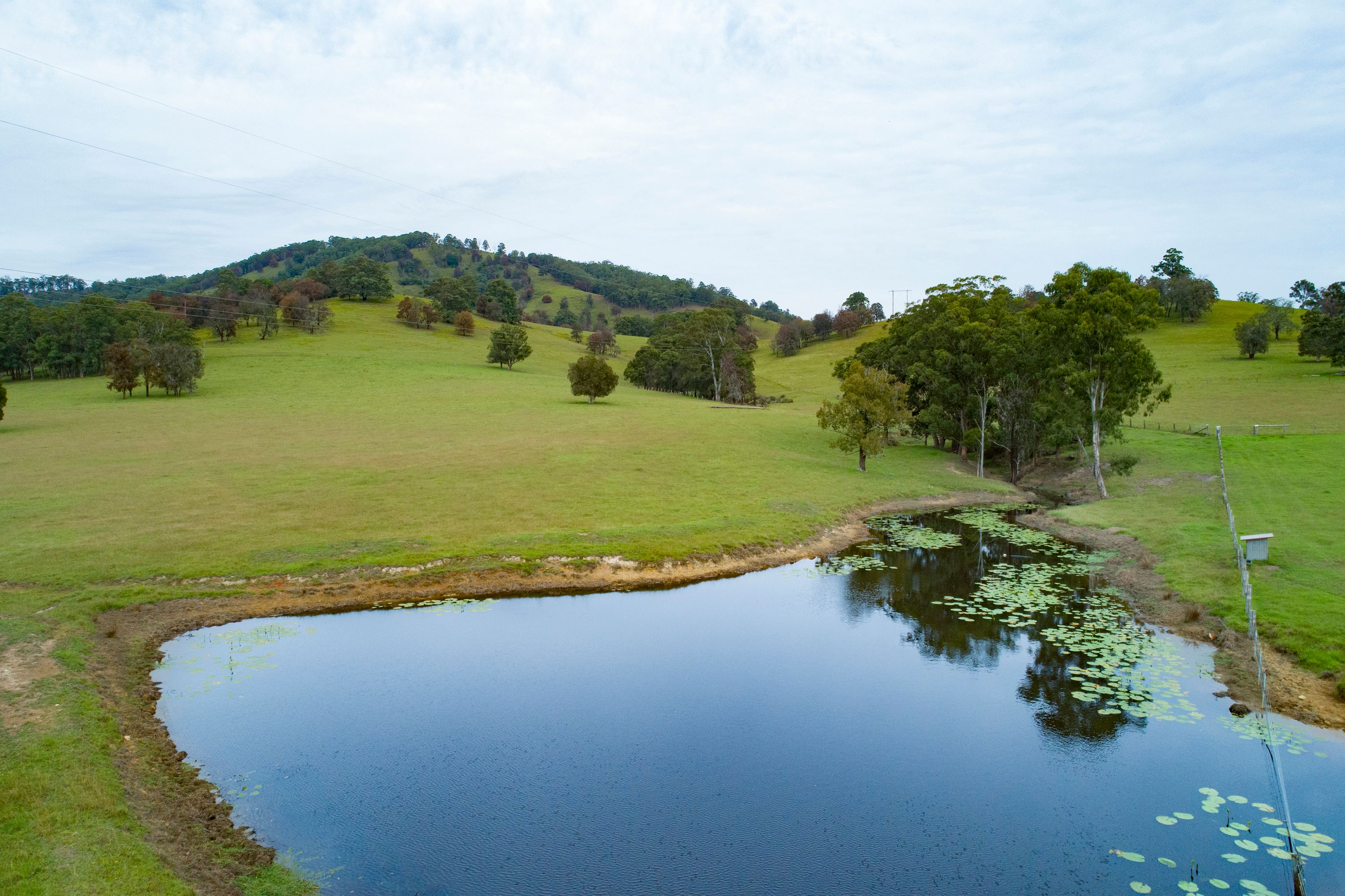 'Ferndale' 130 Mulligans Lane, Burrell Creek, NSW 2429