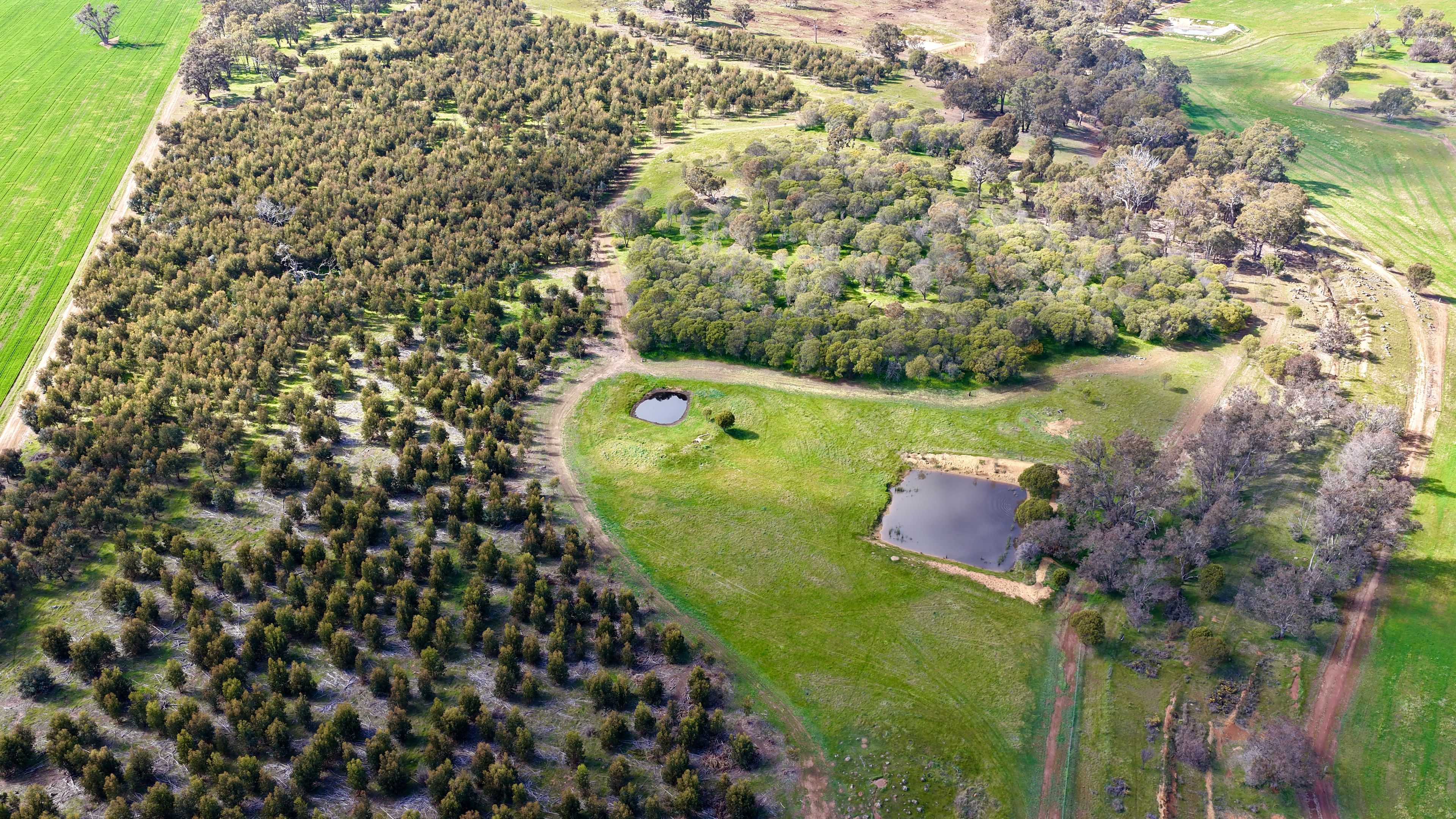 Lot 100 Area Road — photo 3 of 17