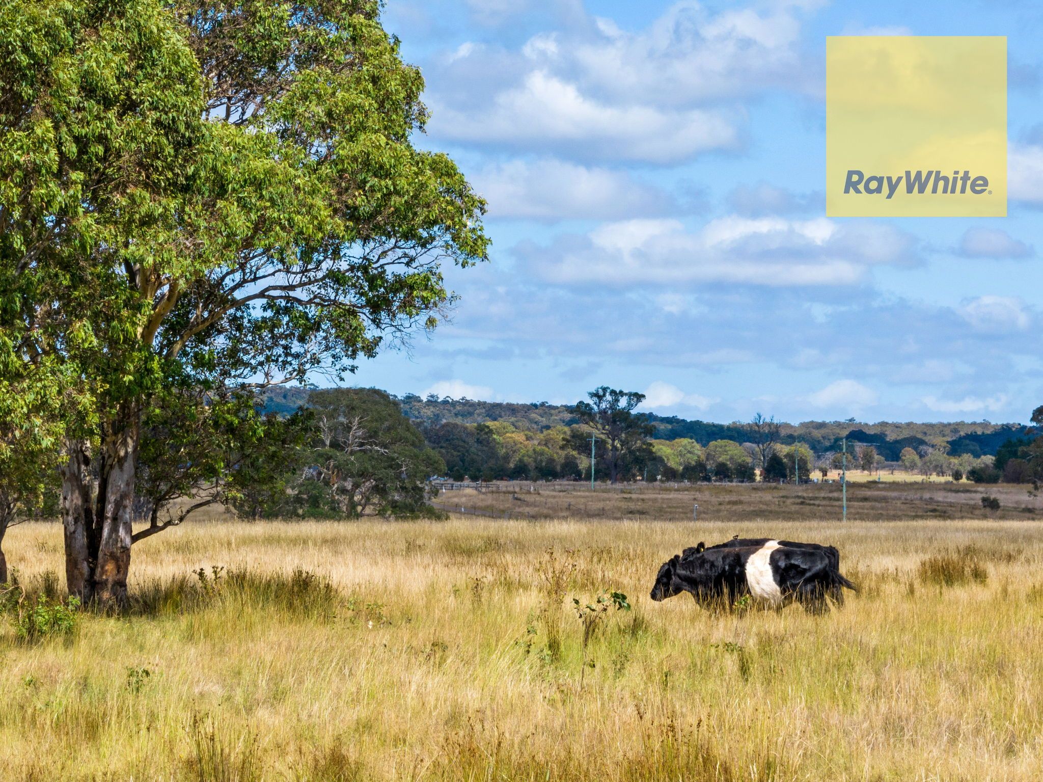 211 Fernleigh Close, Goulburn, NSW 2580 Sold Acreage/SemiRural Ray White Goulburn