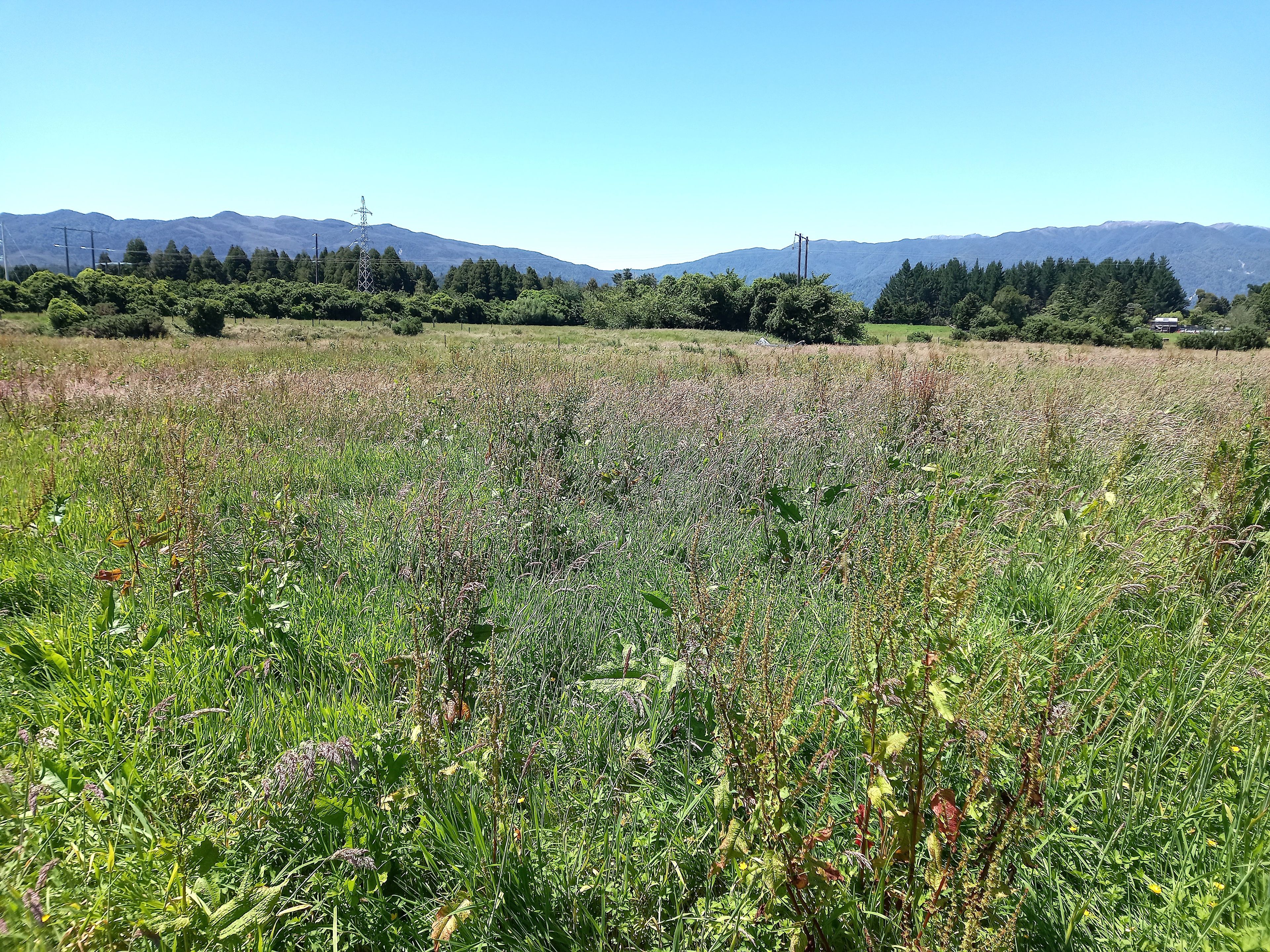 0 Stafford Street, Westport, Buller District