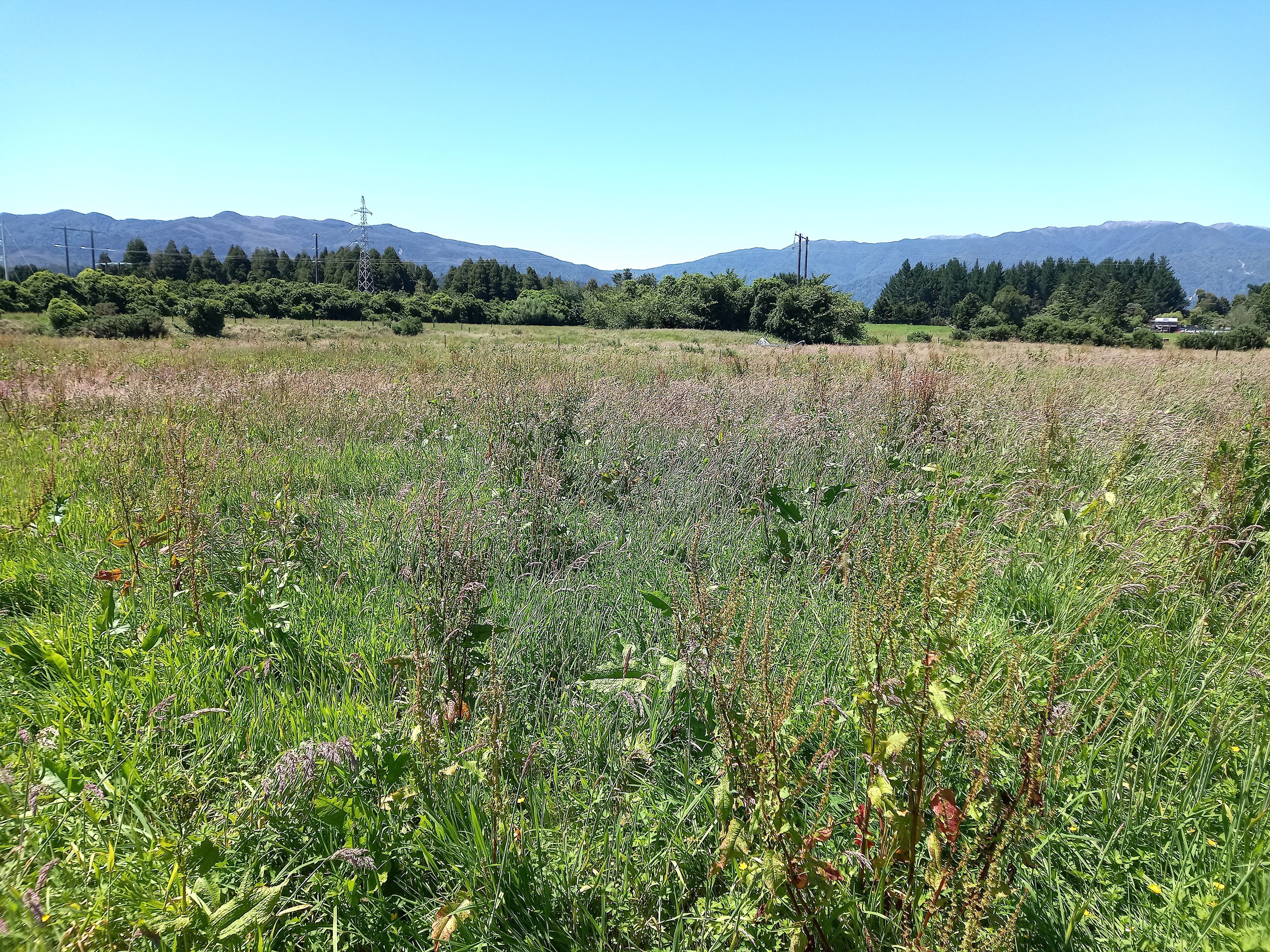 0 Stafford Street, Westport, Buller District