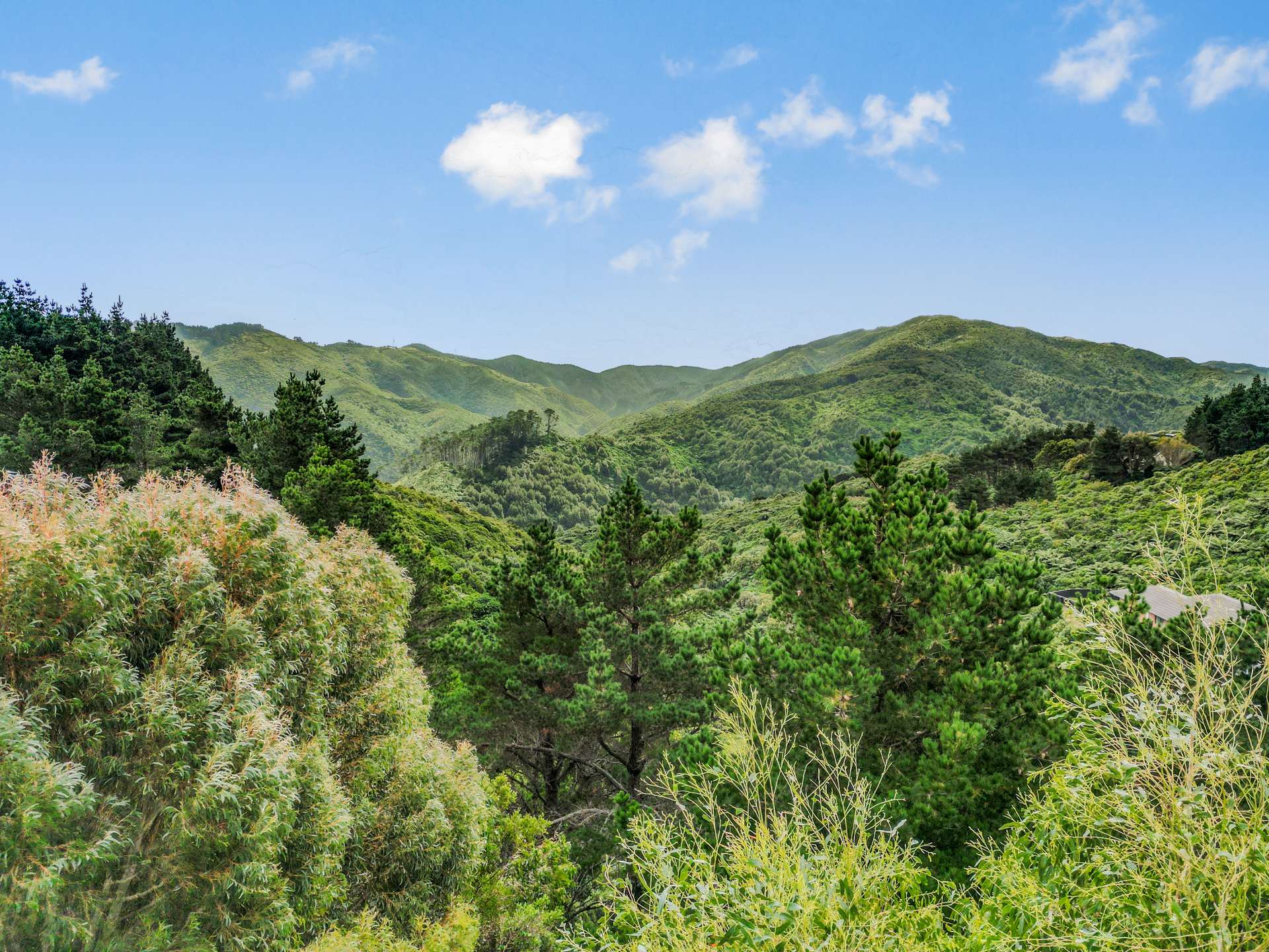 163a Maungaraki Road photo 4