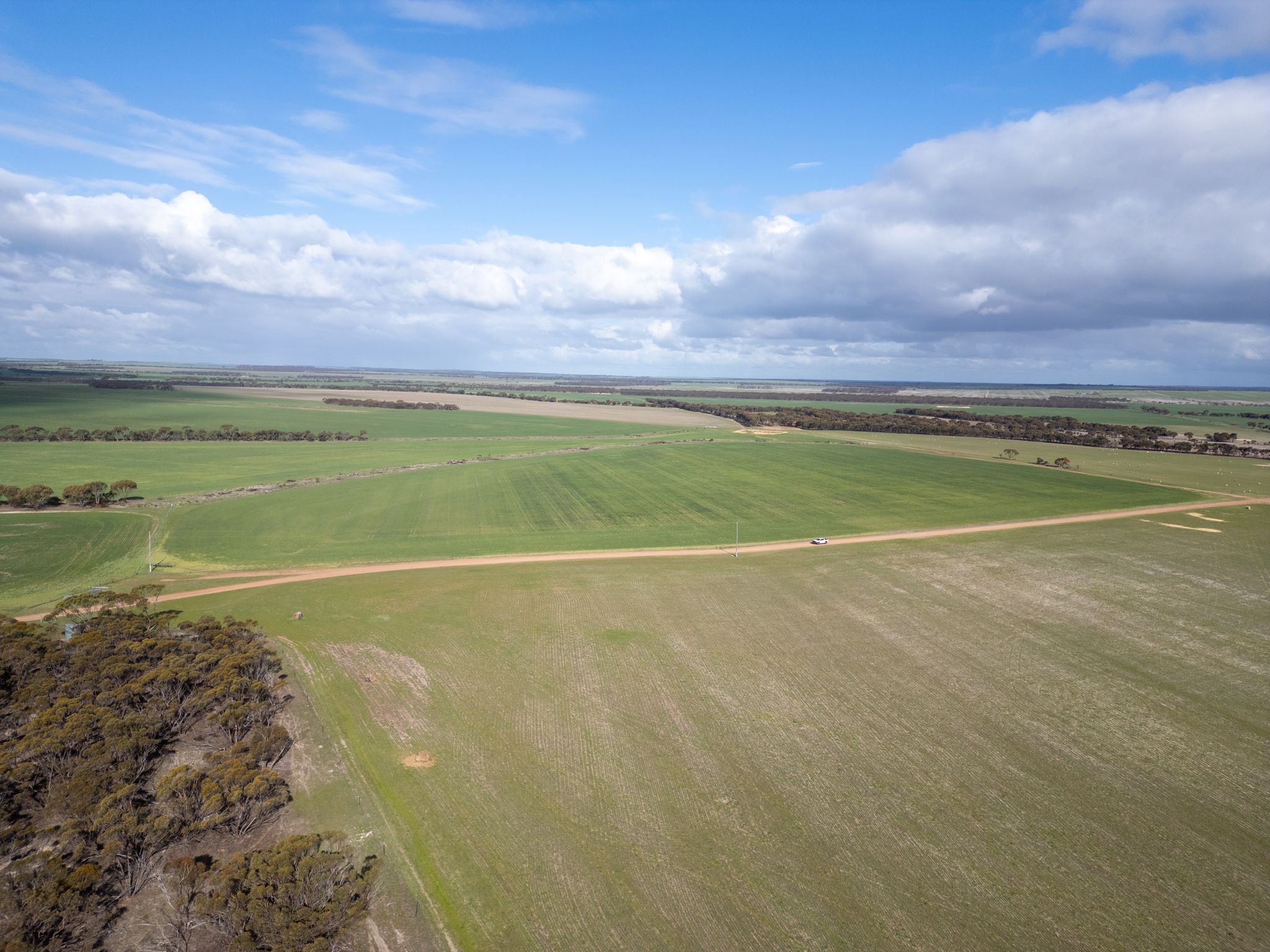 409 Dixon Road, Pingrup, WA 6343 - Sold Rural Cropping Property - Ray ...
