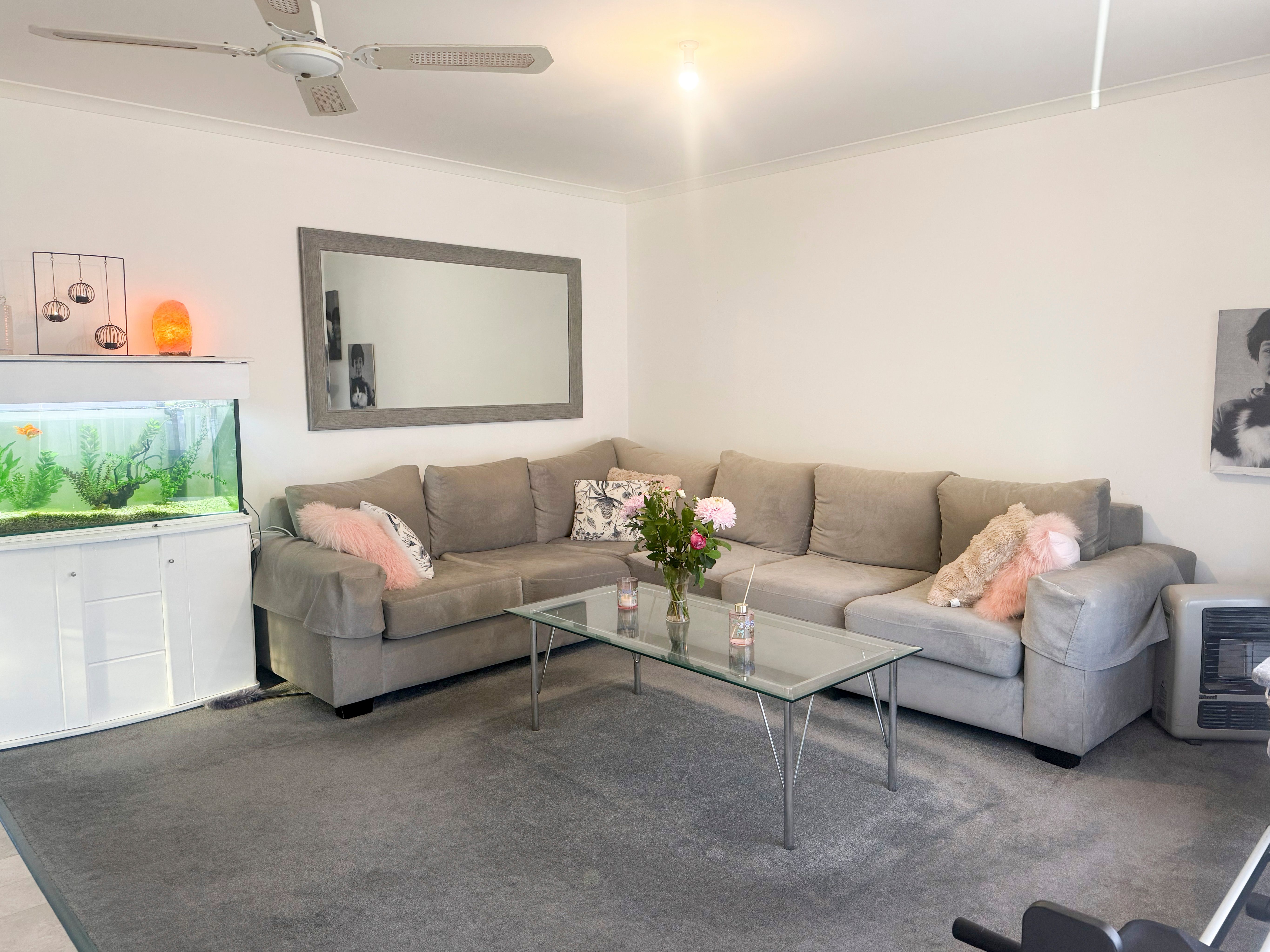16 Alannah Court, Cobram, VIC 3644