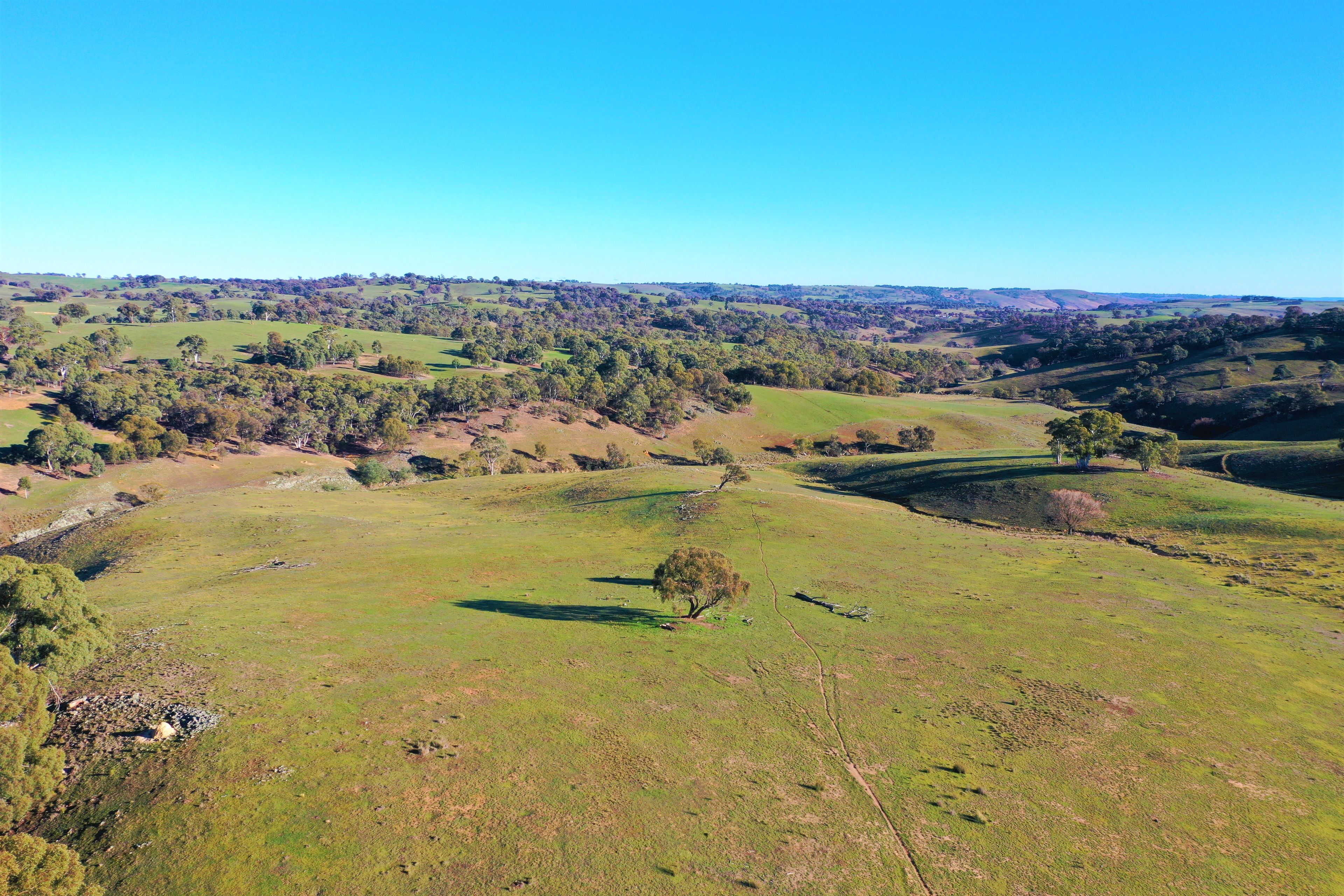 Lot 290 Yalbraith Road, Taralga, NSW 2580