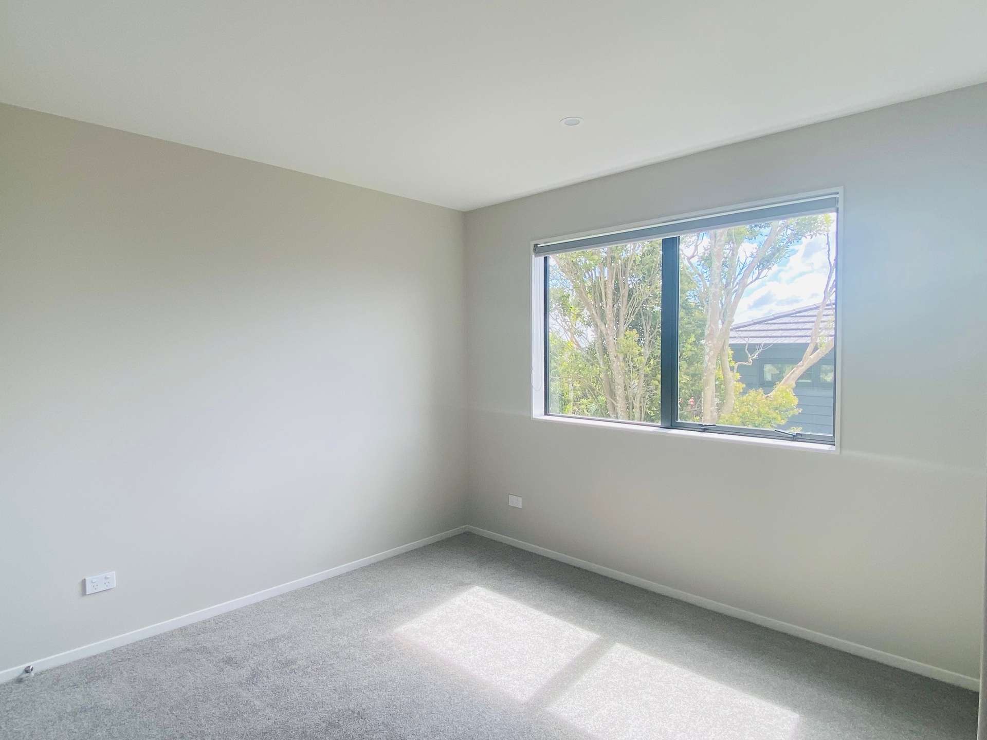A/3 Routley Drive photo 10