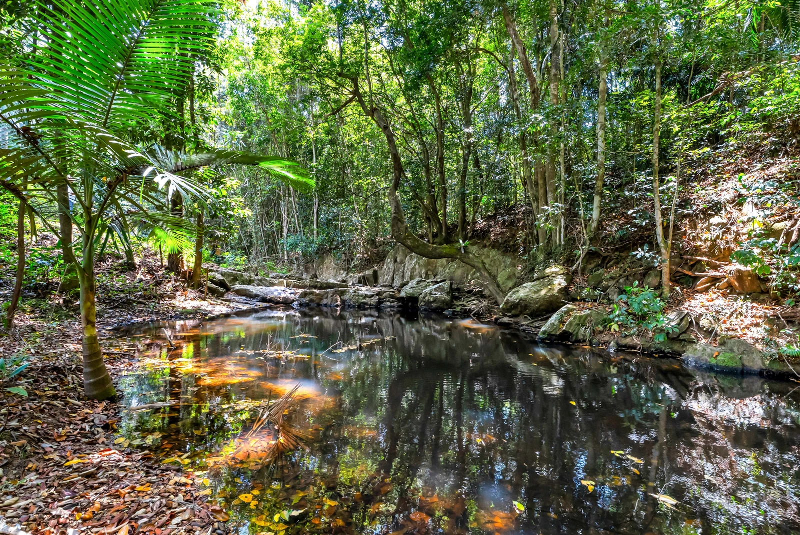 30 Jeffrey Road, Kuranda, QLD 4881