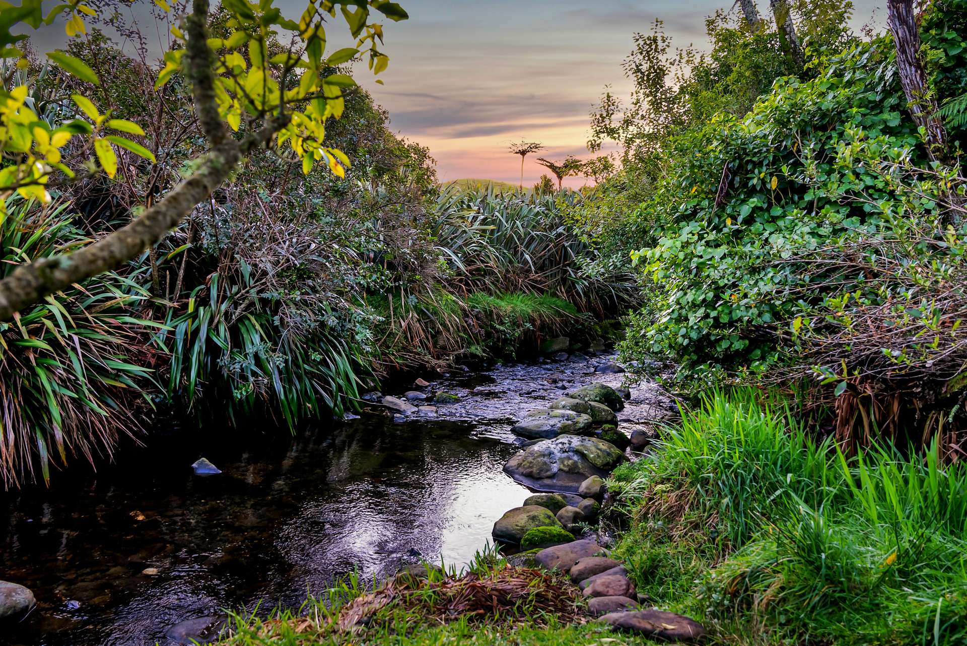 7 Te Ara Karoiroa Road photo 30