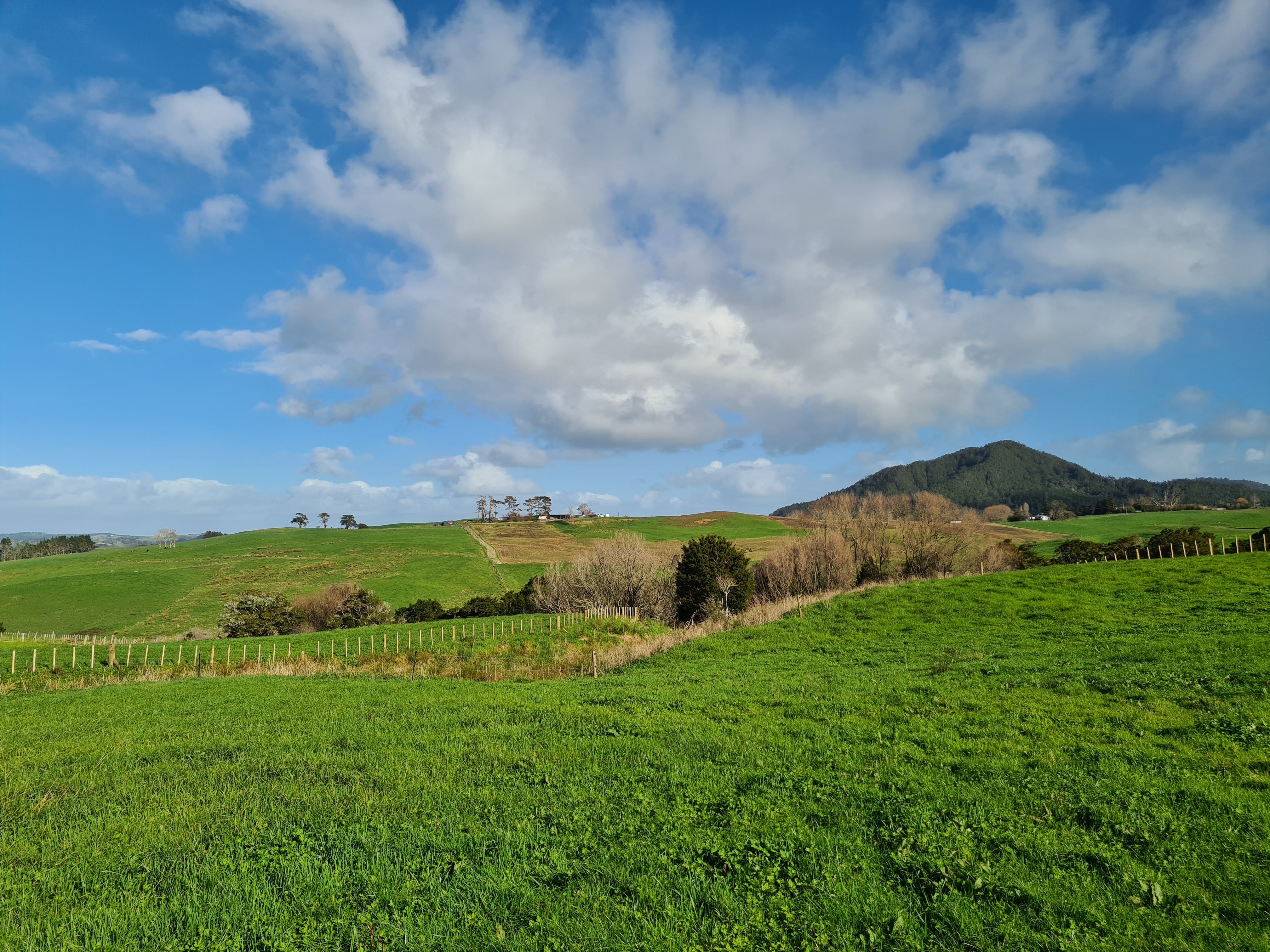 Lot 2 DP 585139 Baldrock Road, Kaiwaka, Kaipara District 0573 - Sold ...