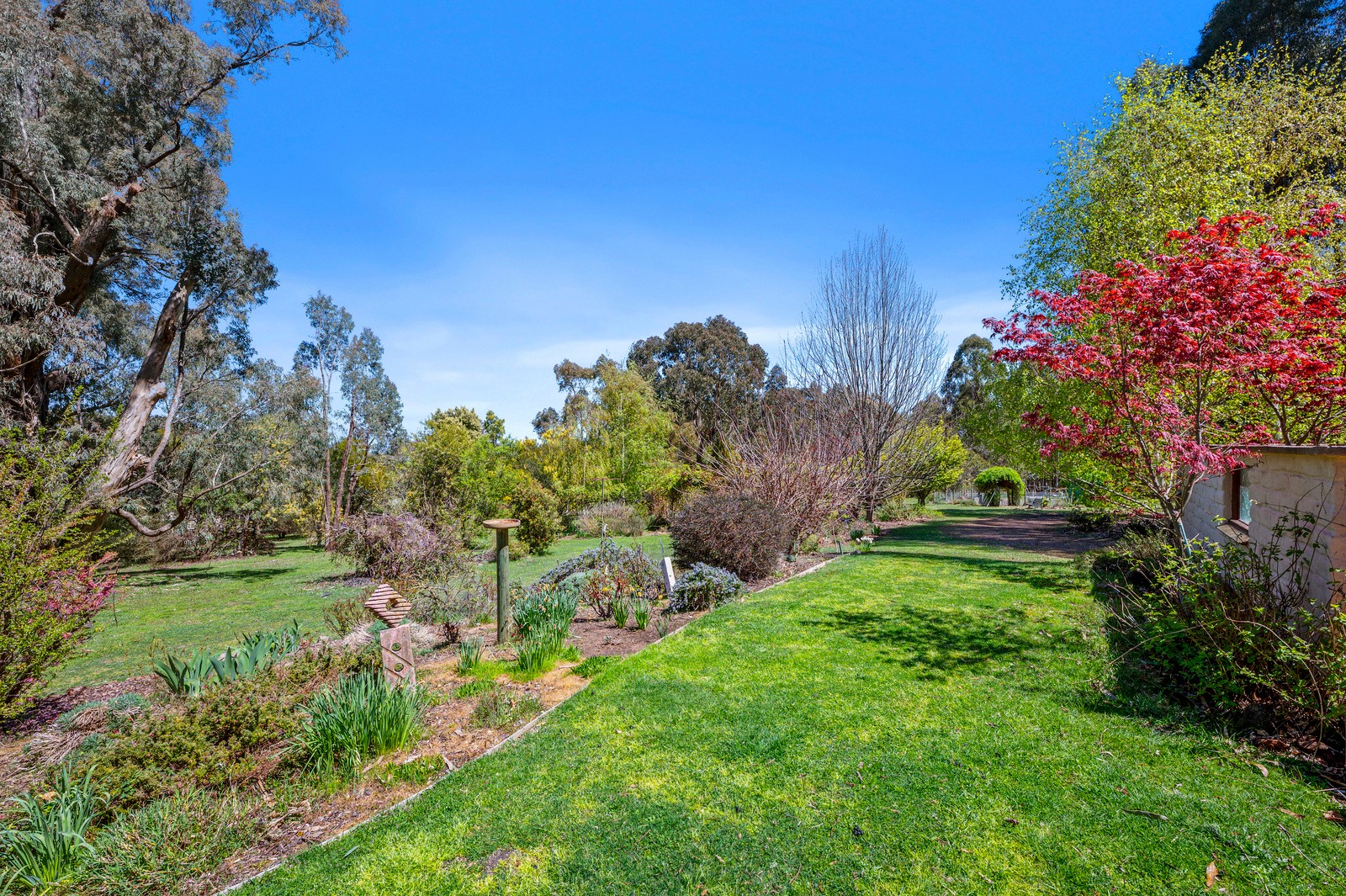 64 Bromfield Drive, Tolmie, VIC 3723