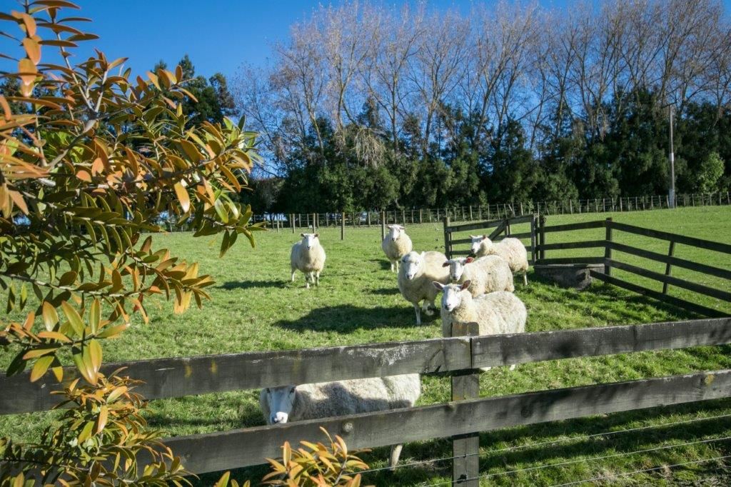 1040 Tuhikaramea Road, Ngahinapouri, Waipa District