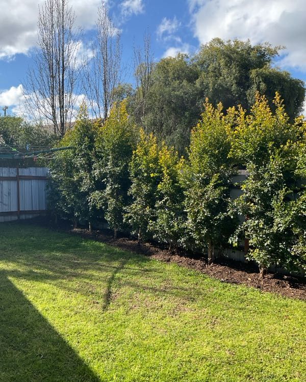 43 Rutley Crescent — photo 13 of 16