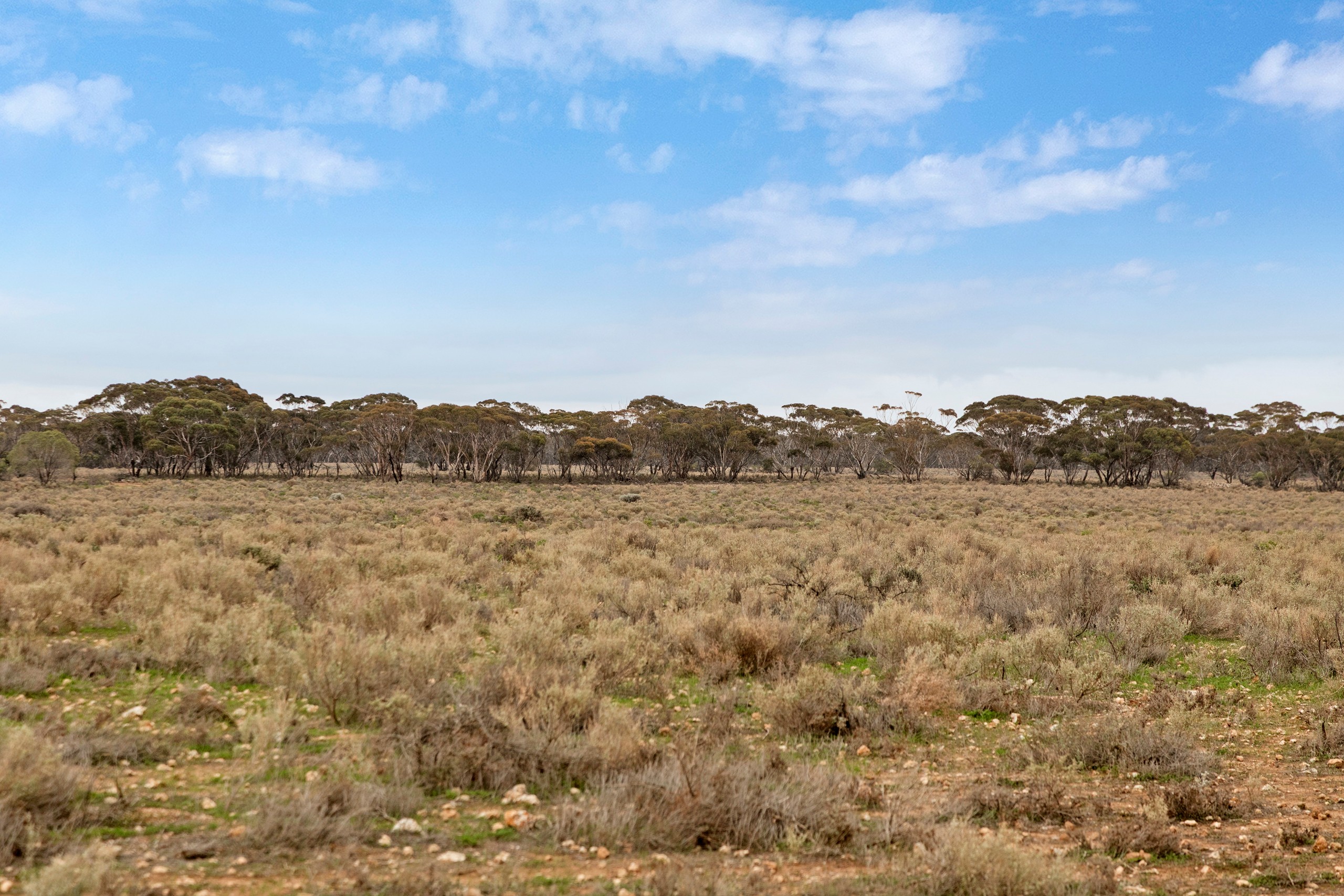 'Wallace' Foote Road, Brownlow, SA 5374