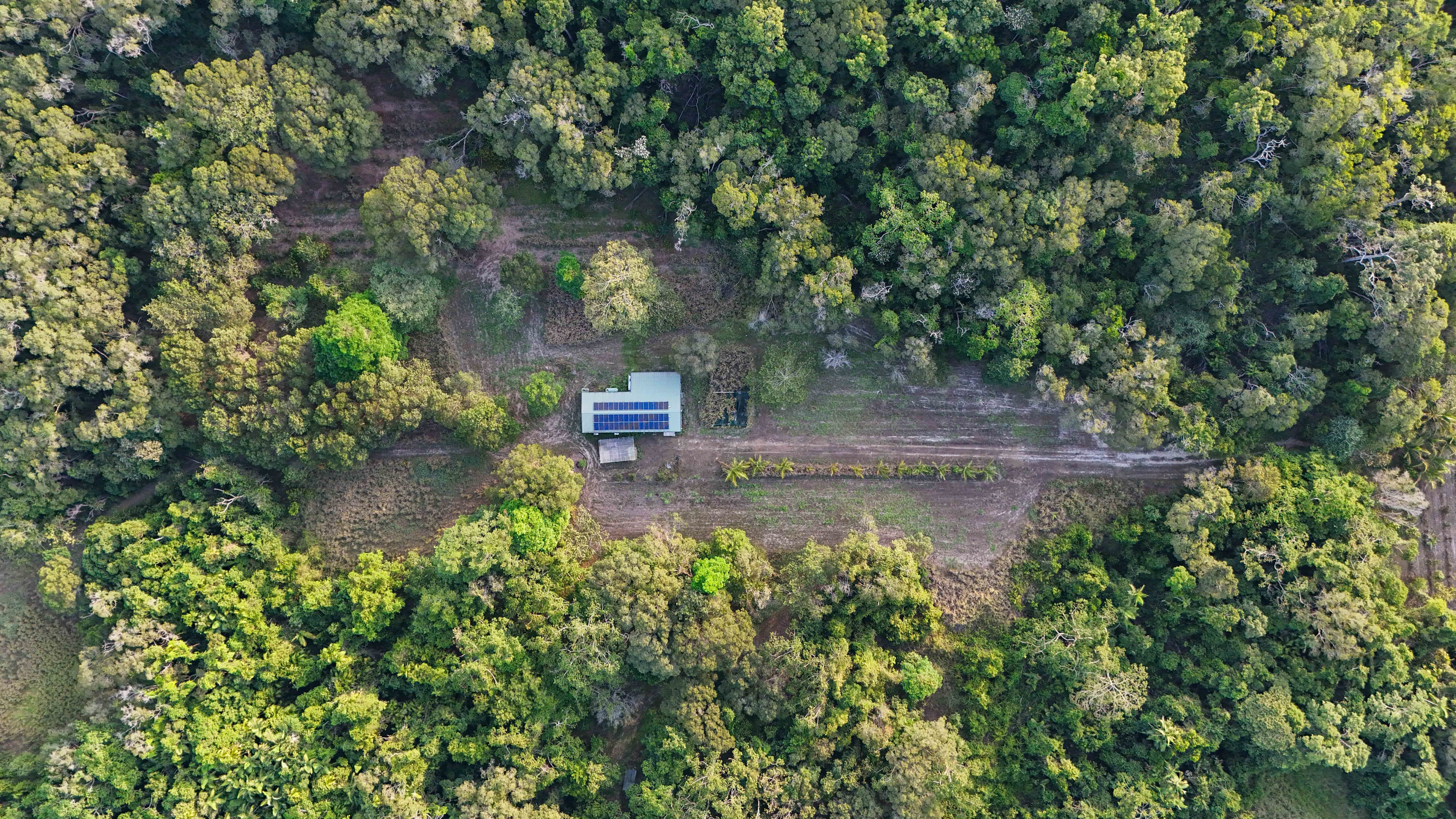 Create Your Idyllic Lifestyle to Include Future Potential Income on 342 acres — photo 29 of 30
