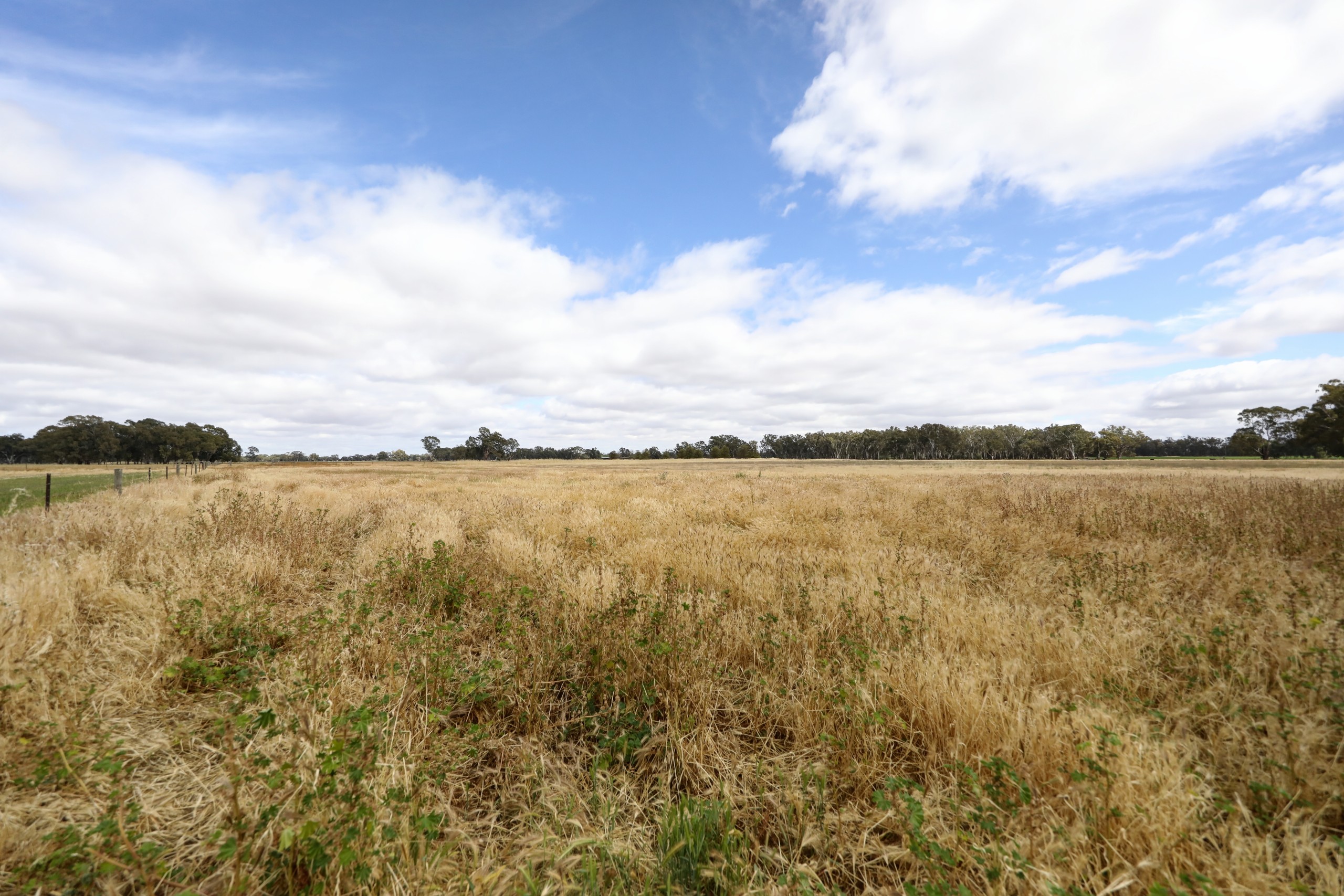 Lot 2/177 Purgatory Road, Cobram, VIC 3644