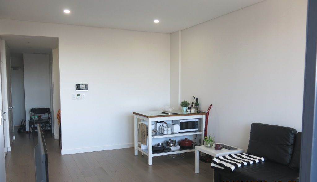 11003/5 Sam Sing Street, Waterloo, NSW 2017