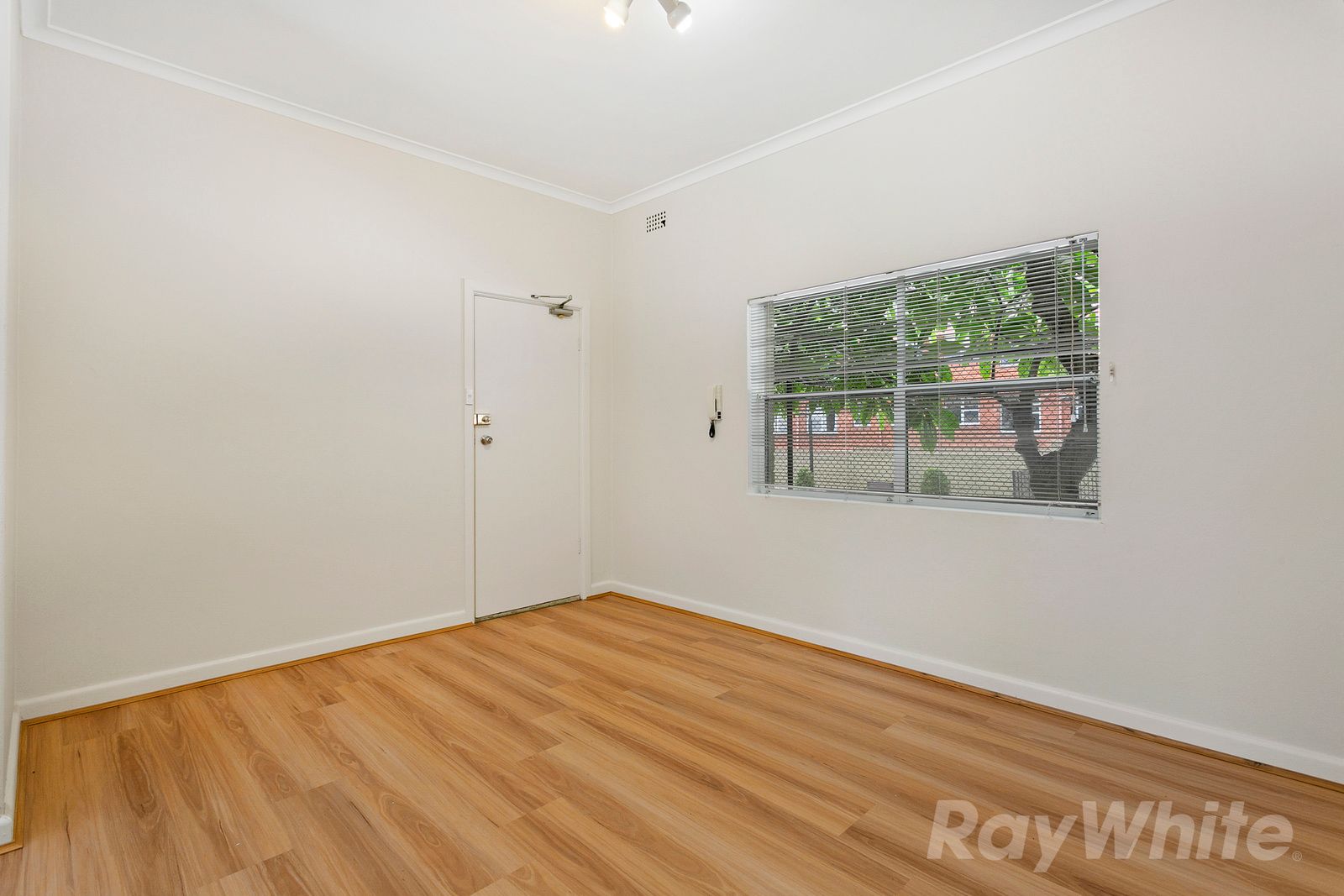 6/41 Alt Street, Ashfield, NSW 2131