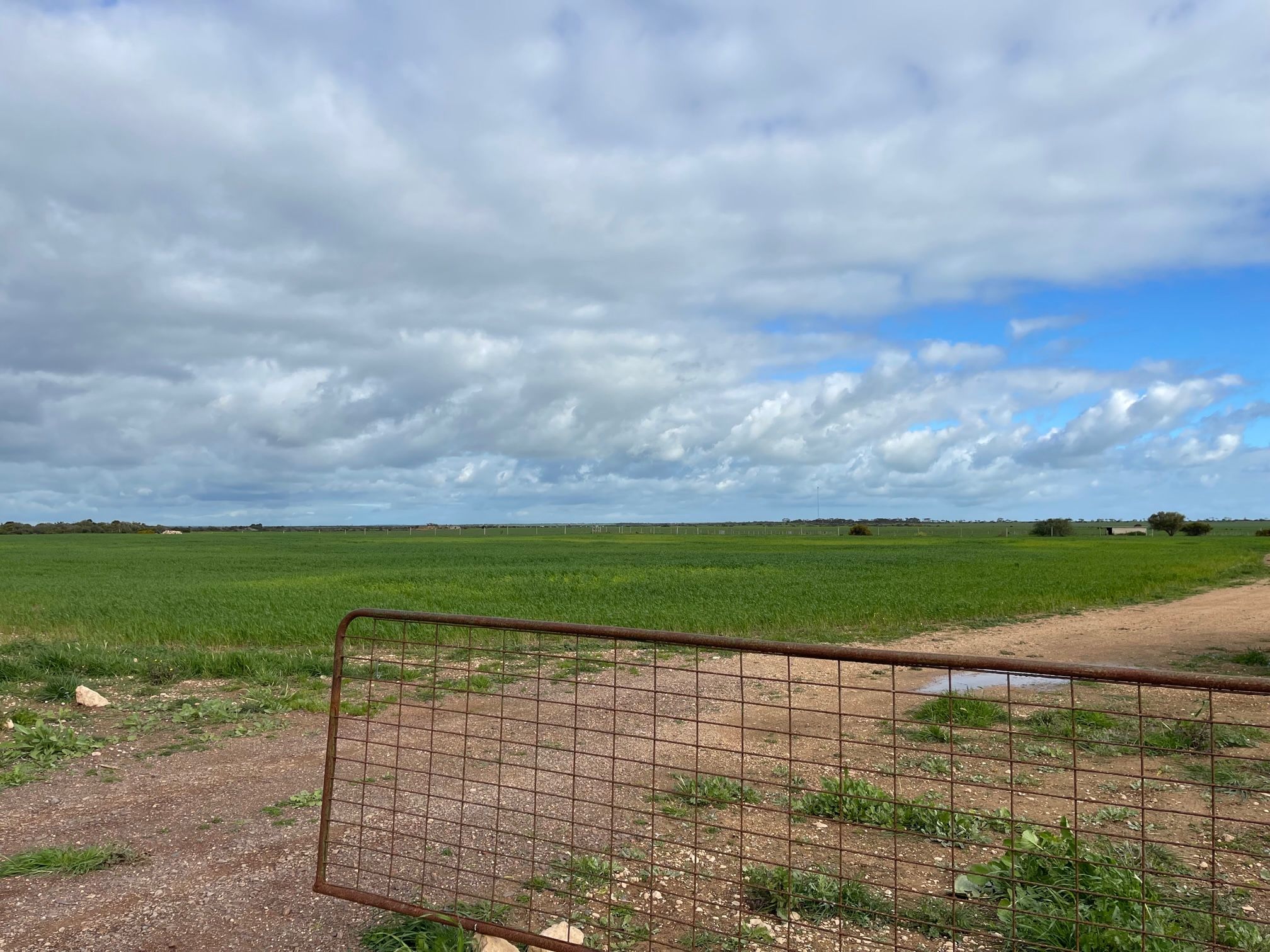 Lot 136 Copper Lane, Jericho, SA 5554