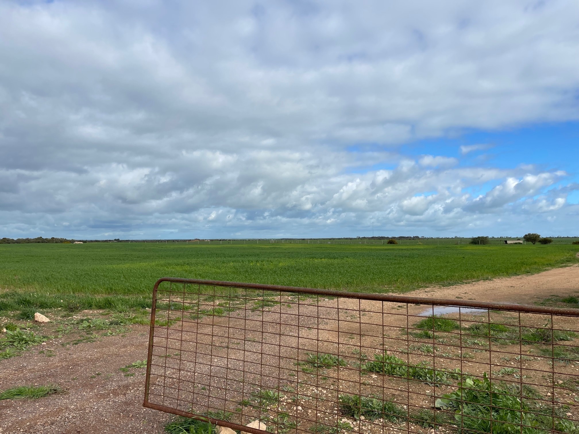 Lot 136 Copper Lane, Jericho, SA 5554